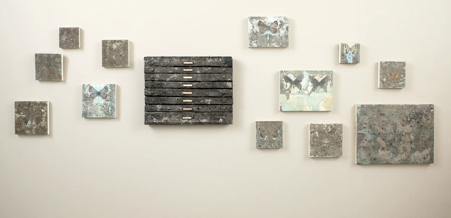 A Collection of Ashes, 2011