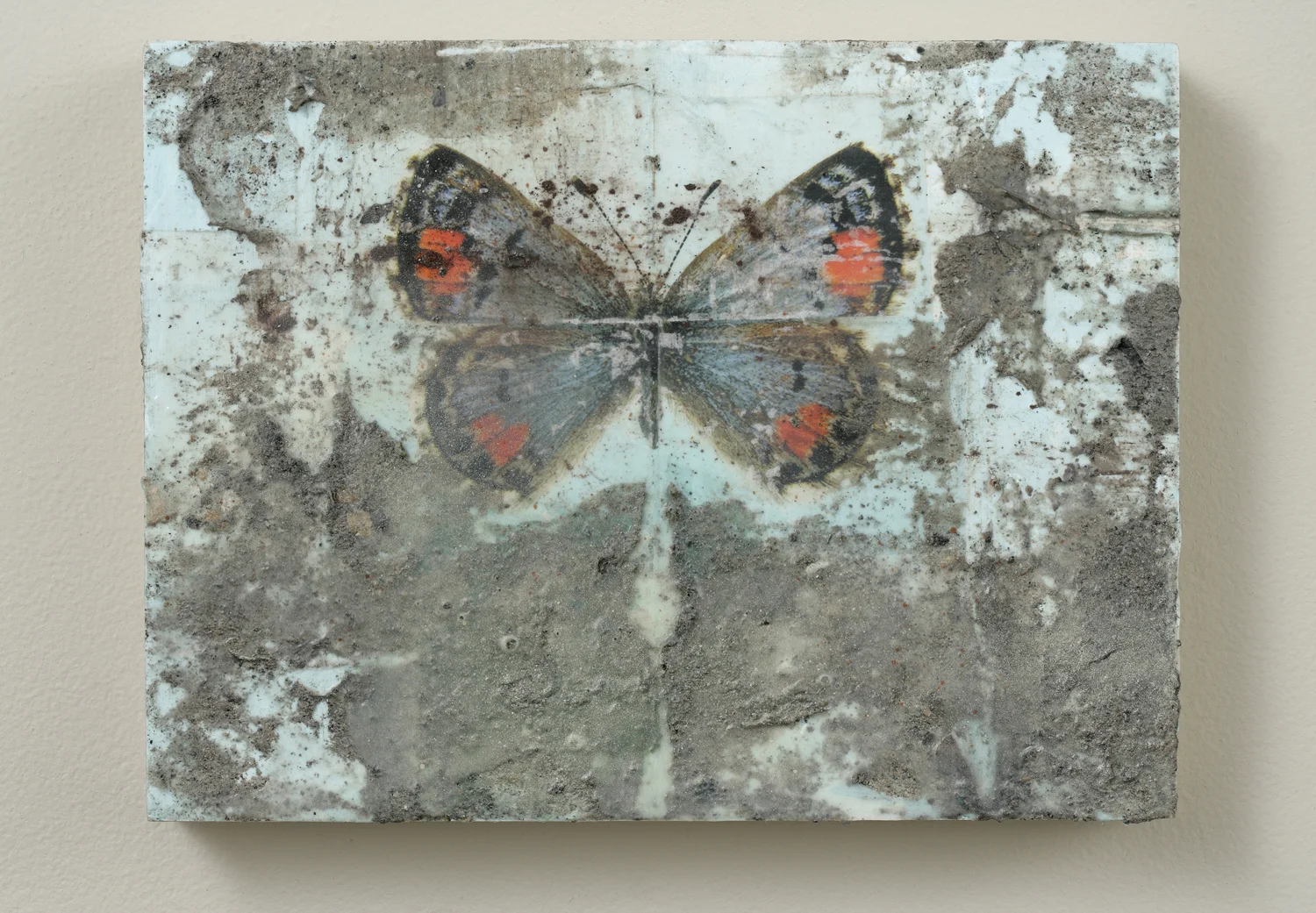 A Collection of Ashes, 2011