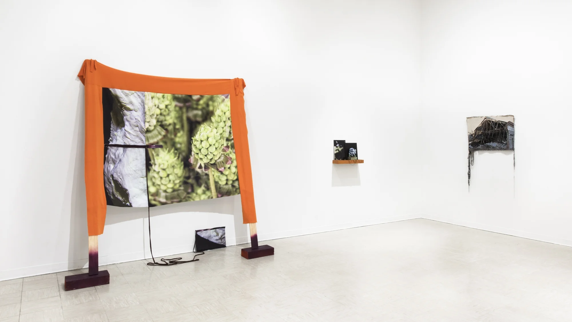Altered States, Installation view
