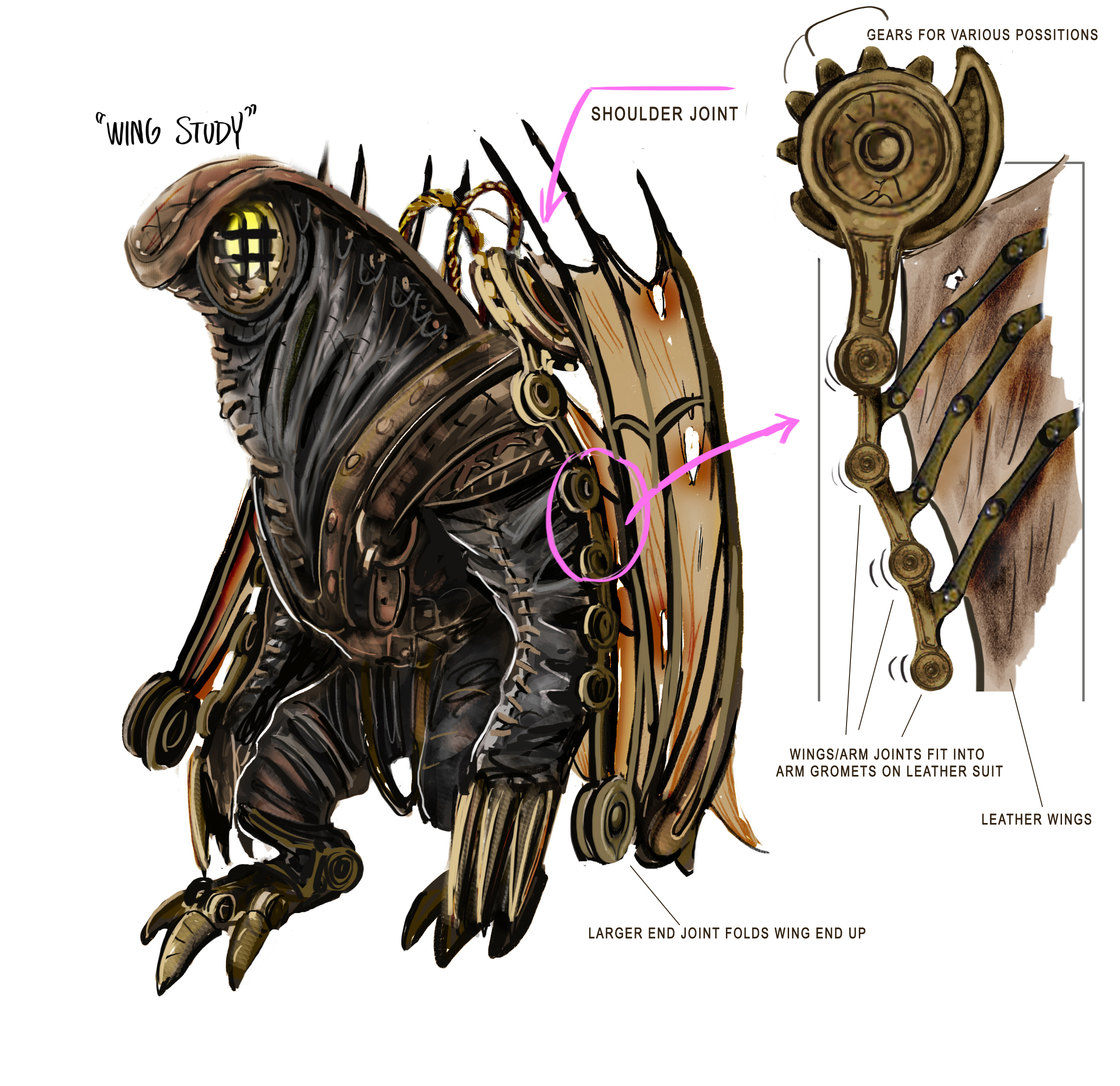 Songbird / wing mechanics