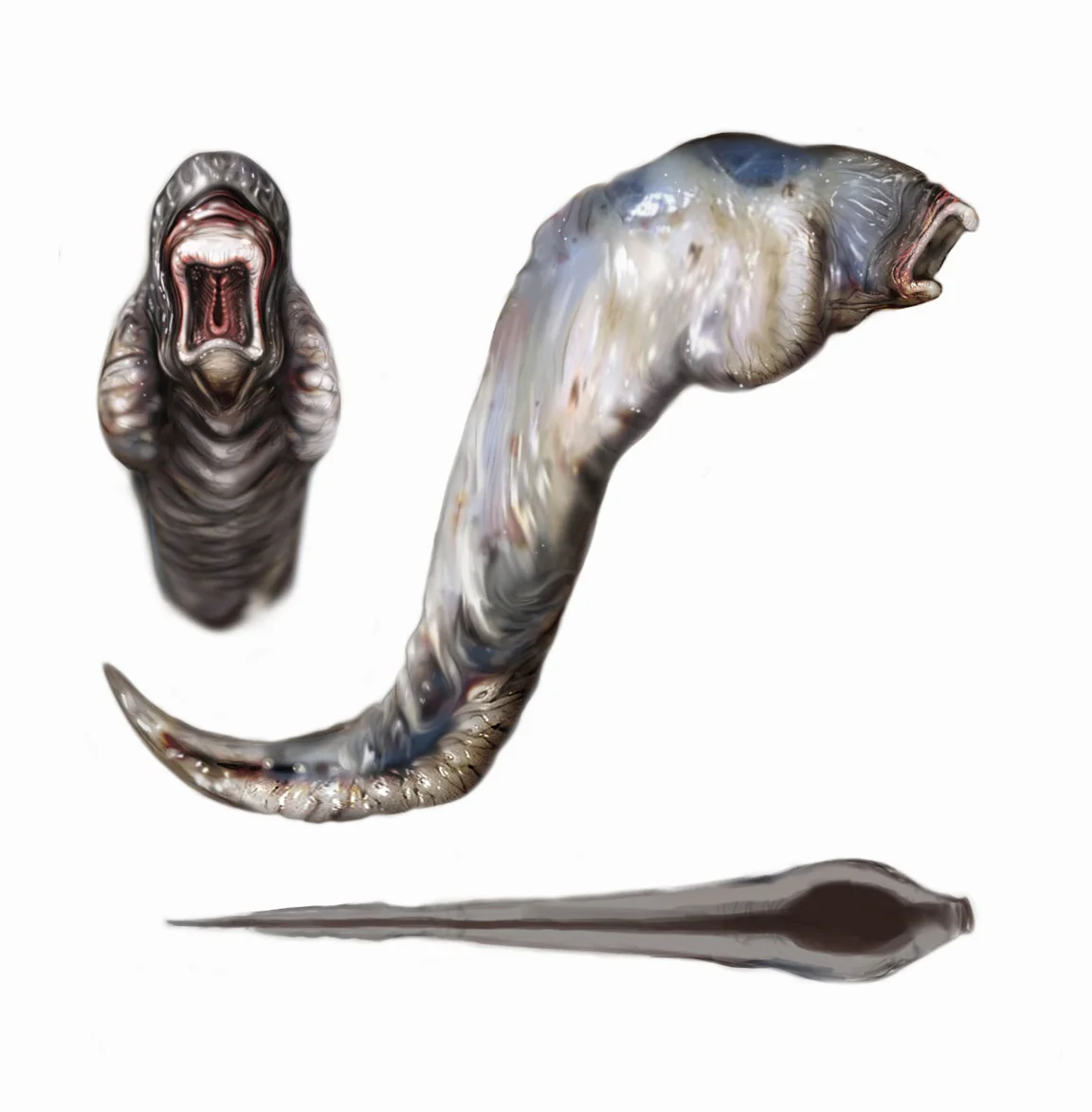 Gatherer Parasite