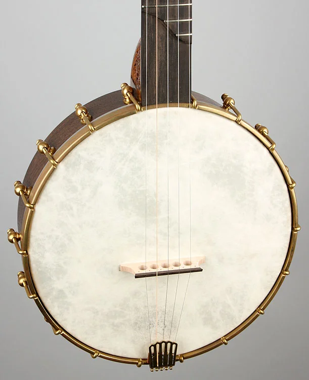 ArcaraBanjo_750_2.jpg
