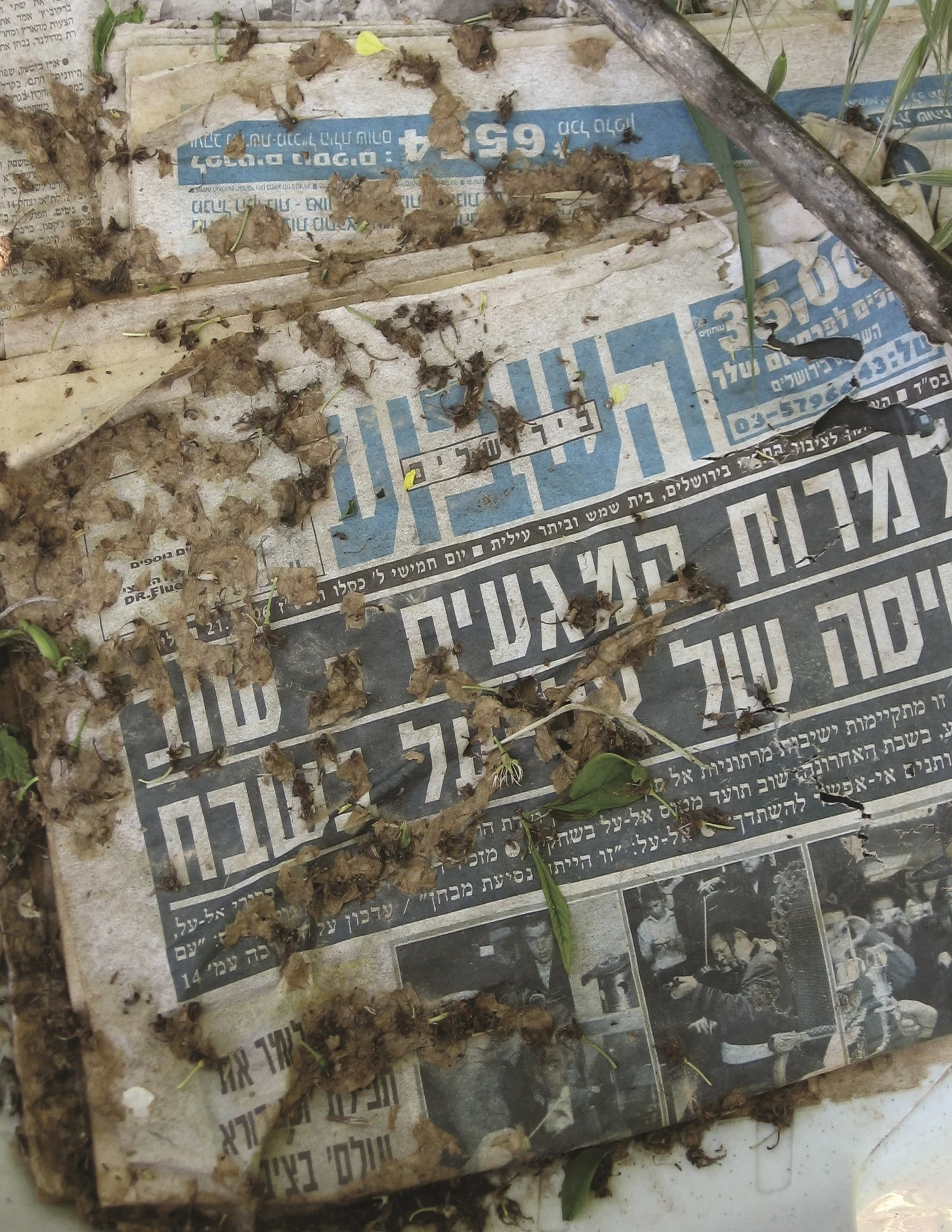 AbstractIsrael 19.jpg