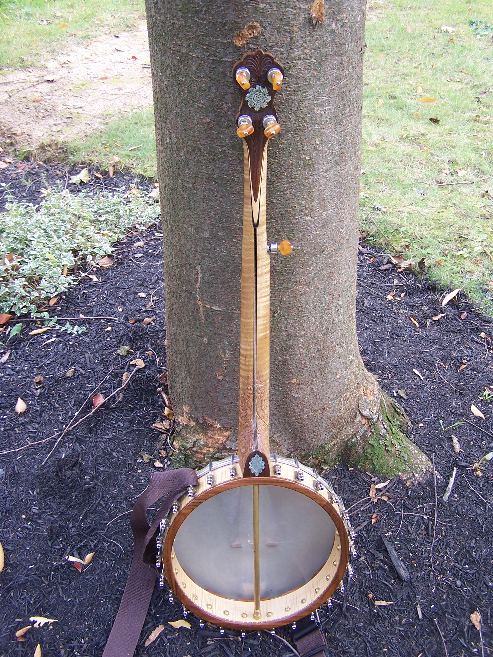 Maple Banjo - Rear View 2006.jpg