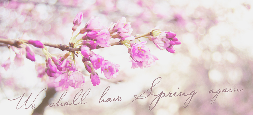 spring.jpg