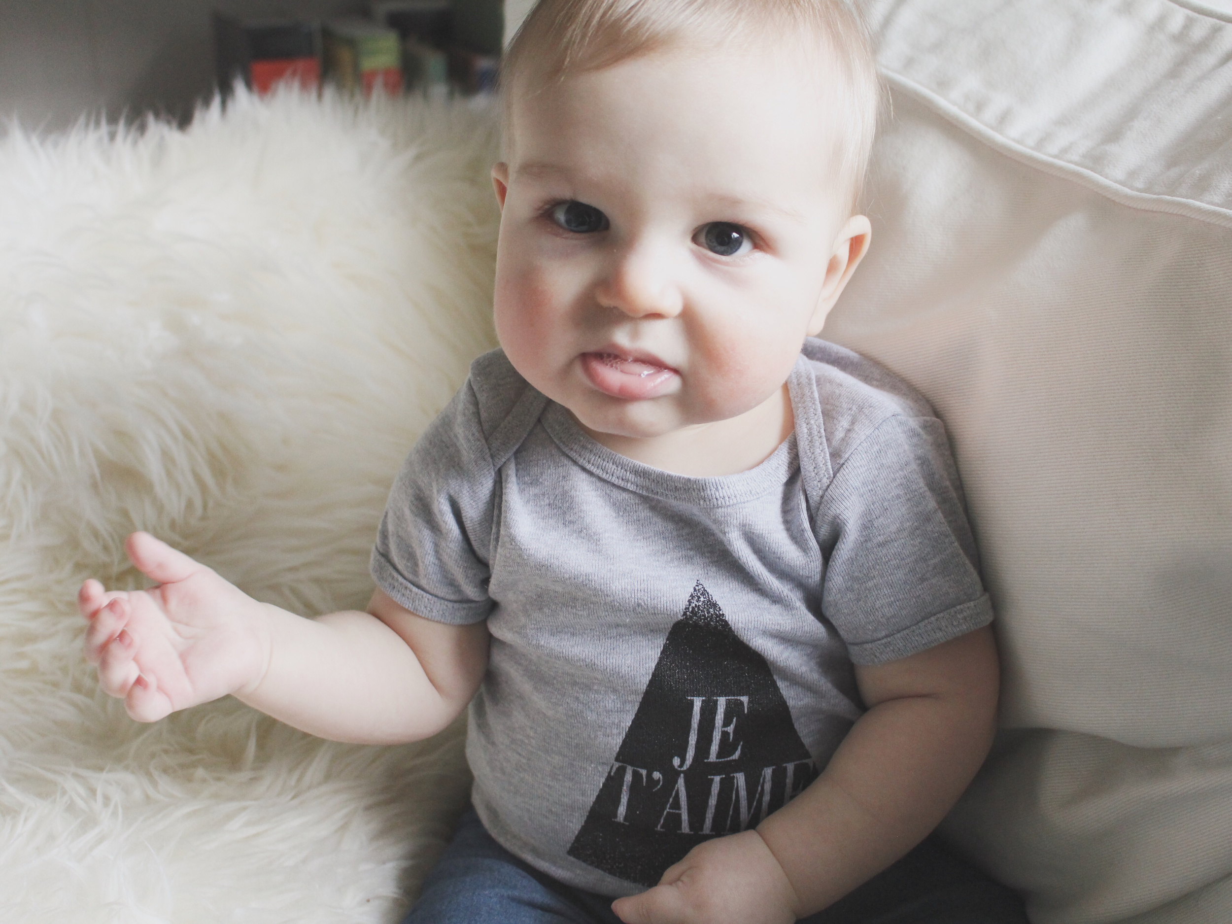 LUCA THE LION // 7 MONTH UPDATE