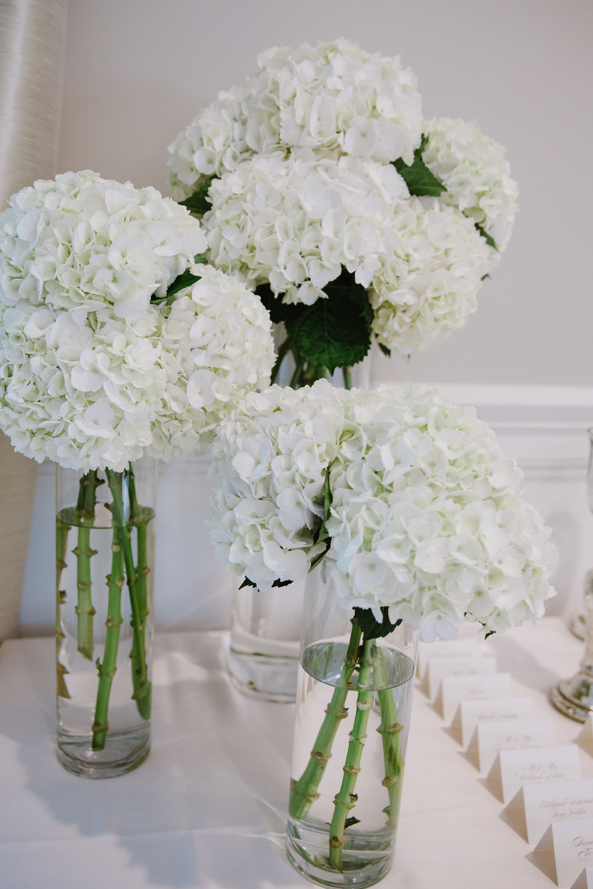 Double Phalaenopsis Orchid display dressed with curly willow and moss by  Green Bouquet Floral Design