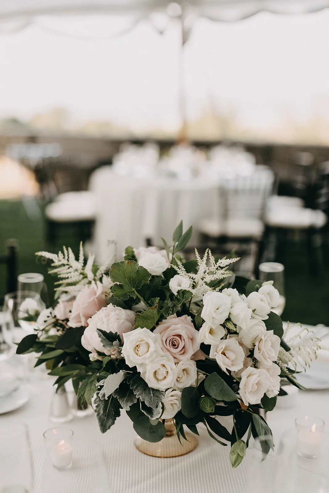 Ellen+Anthony-822.jpg