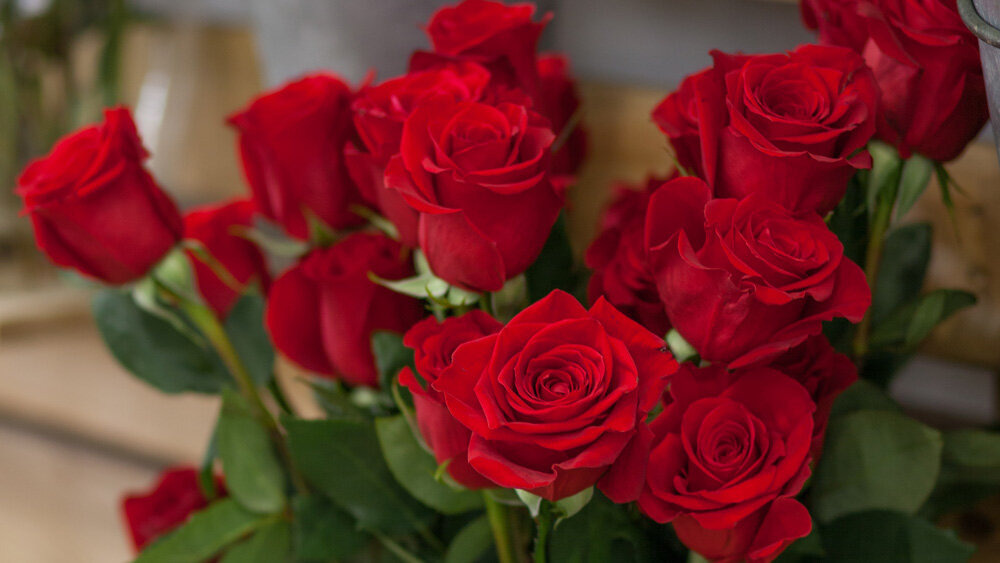 Roses-crop.jpg