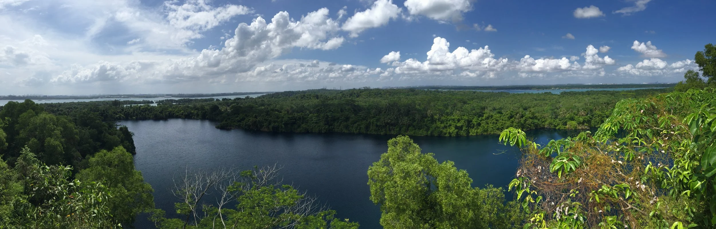 Corporate Profile Banner.JPG