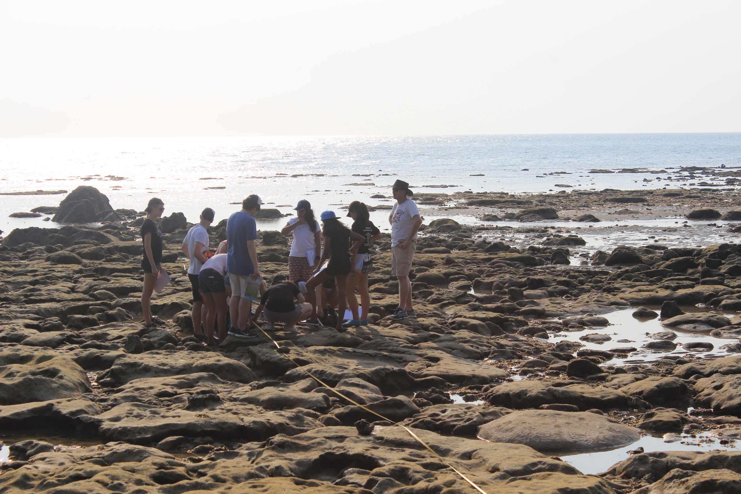 Syllabus Specific Banner.JPG