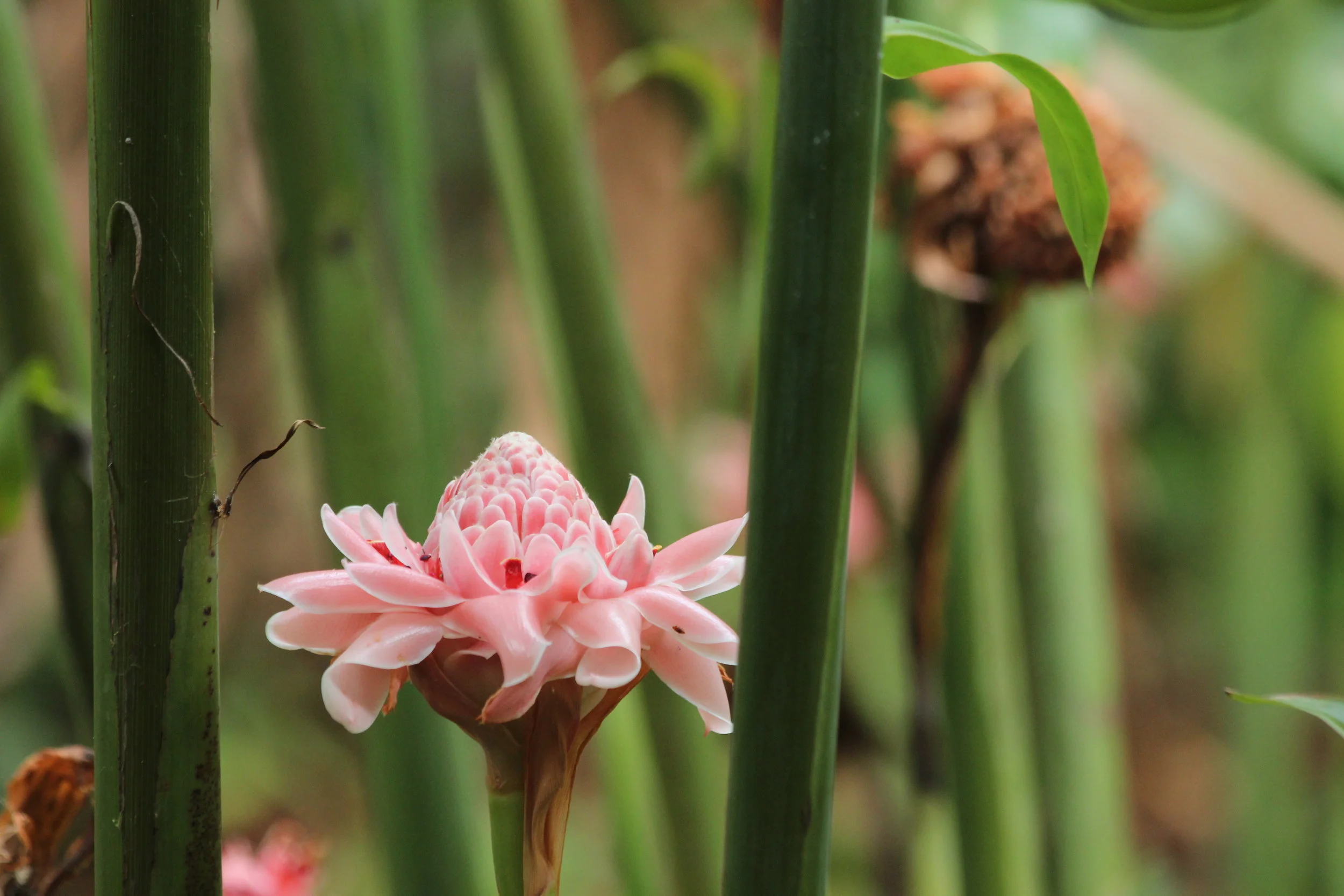 Terms & Conditions Banner.JPG