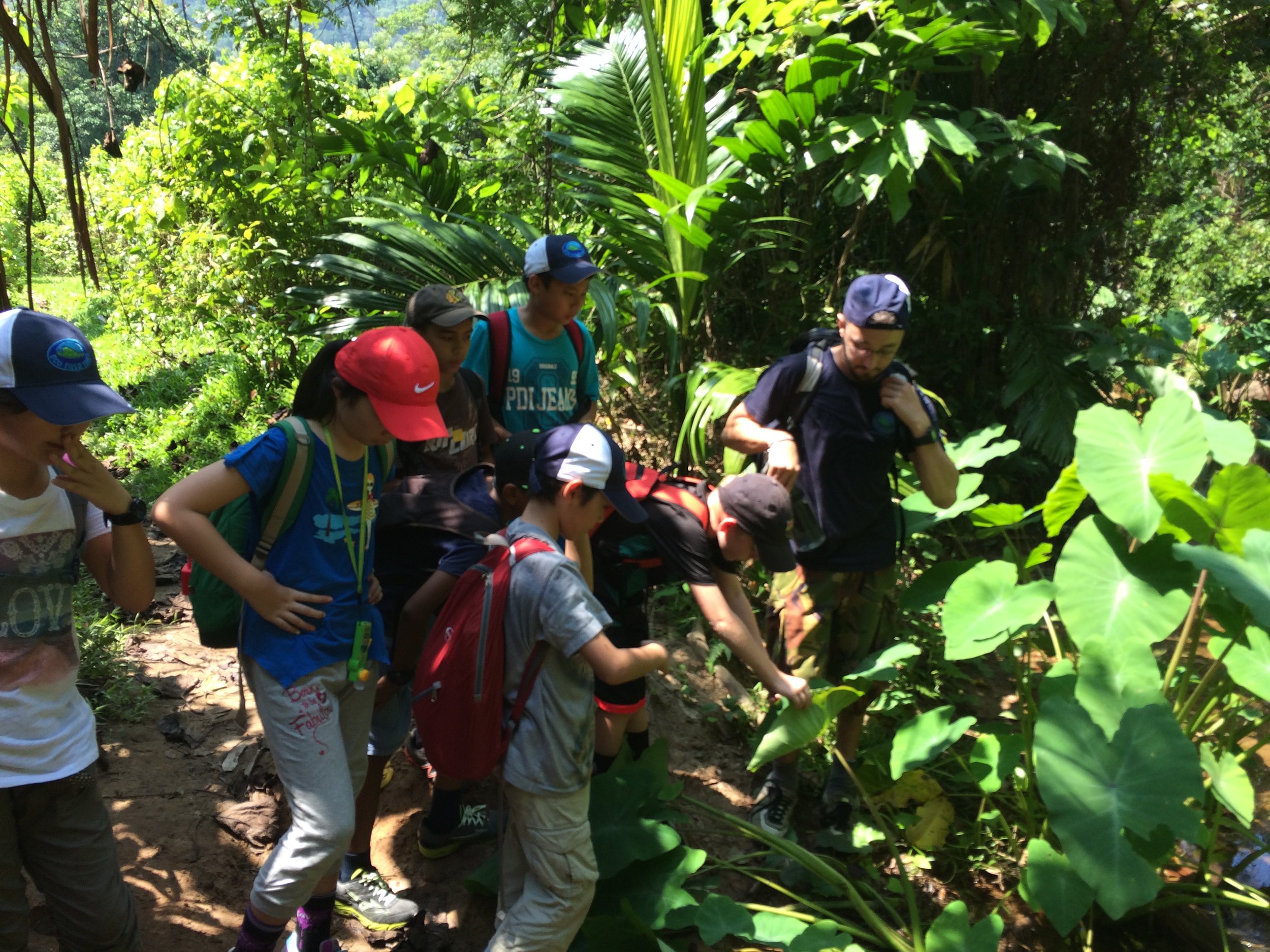 Tioman Island, Rainforest Walk, CIS TK 2015 (1).JPG