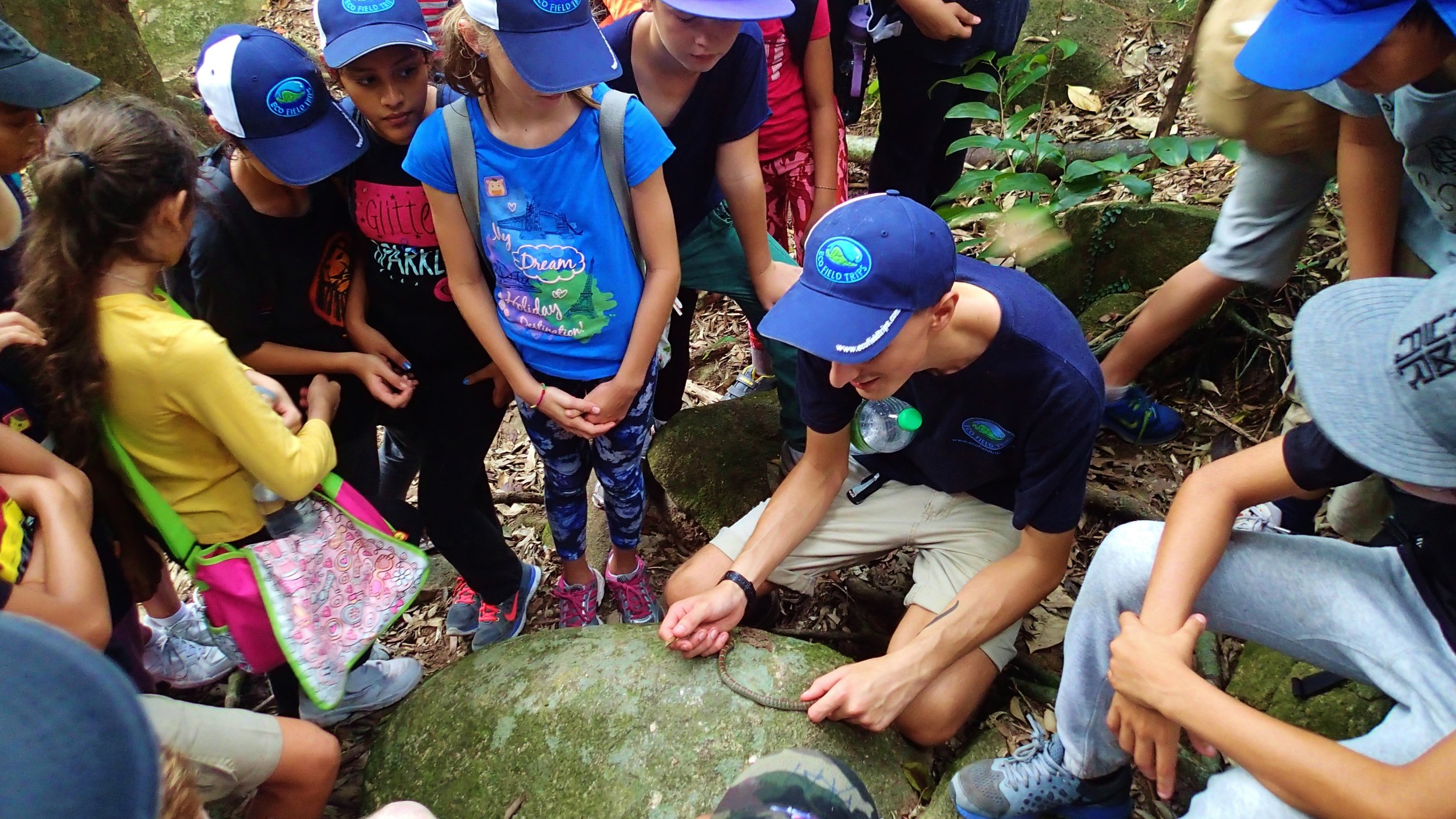 Tioman, Rainforest Walk, Animal Wildlife Interaction, Snake and Students, Connor.JPG