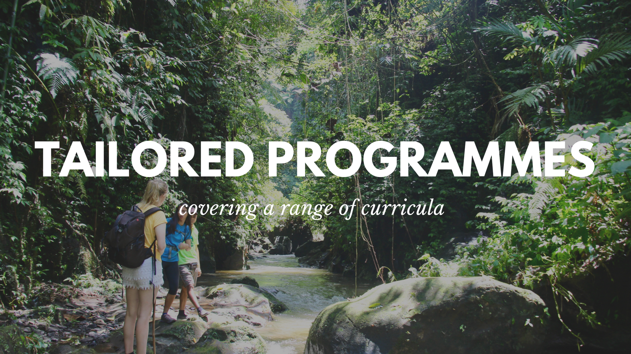 tailored programmes covering a range of curricula