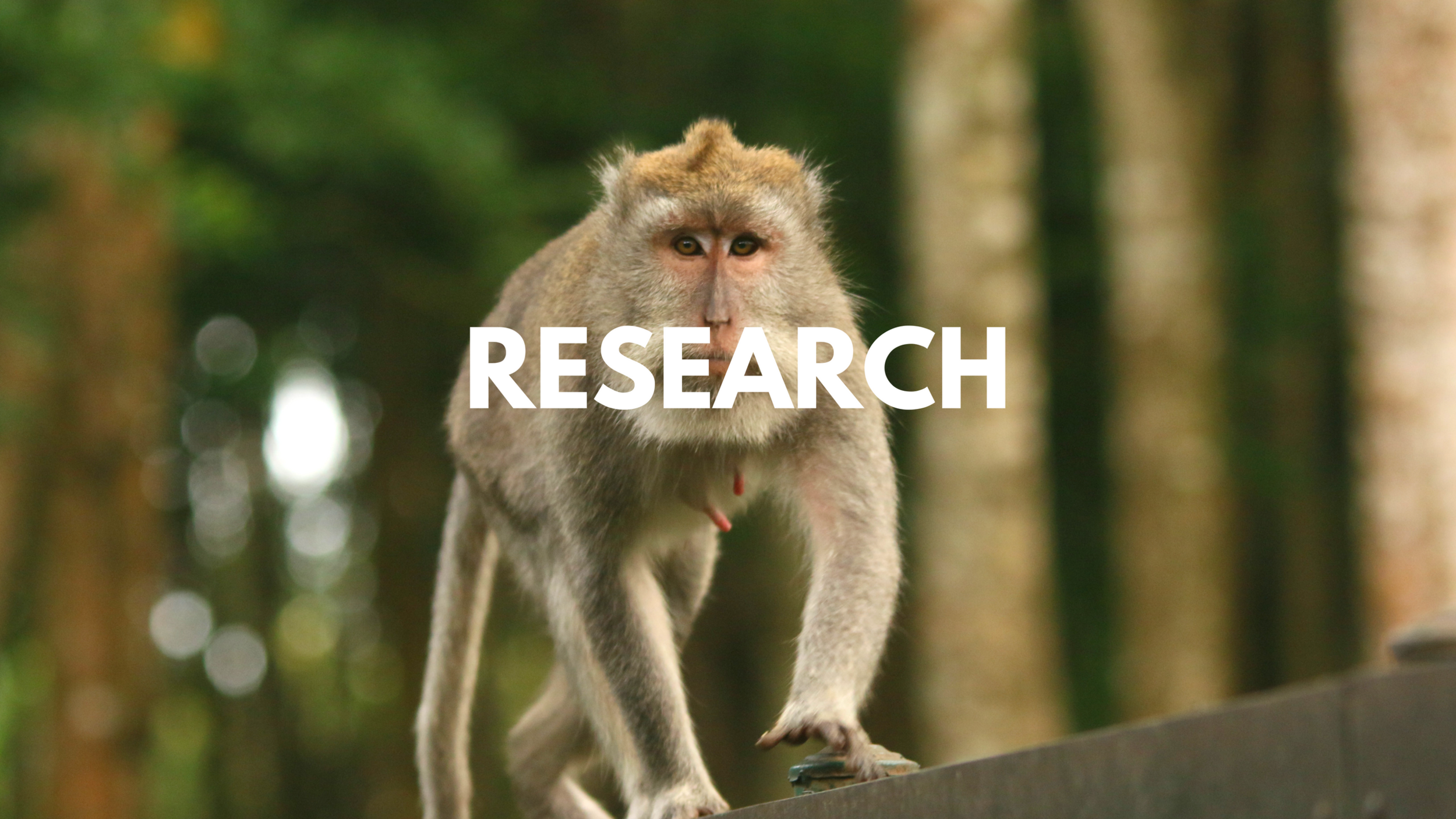 Dissertations and research projects