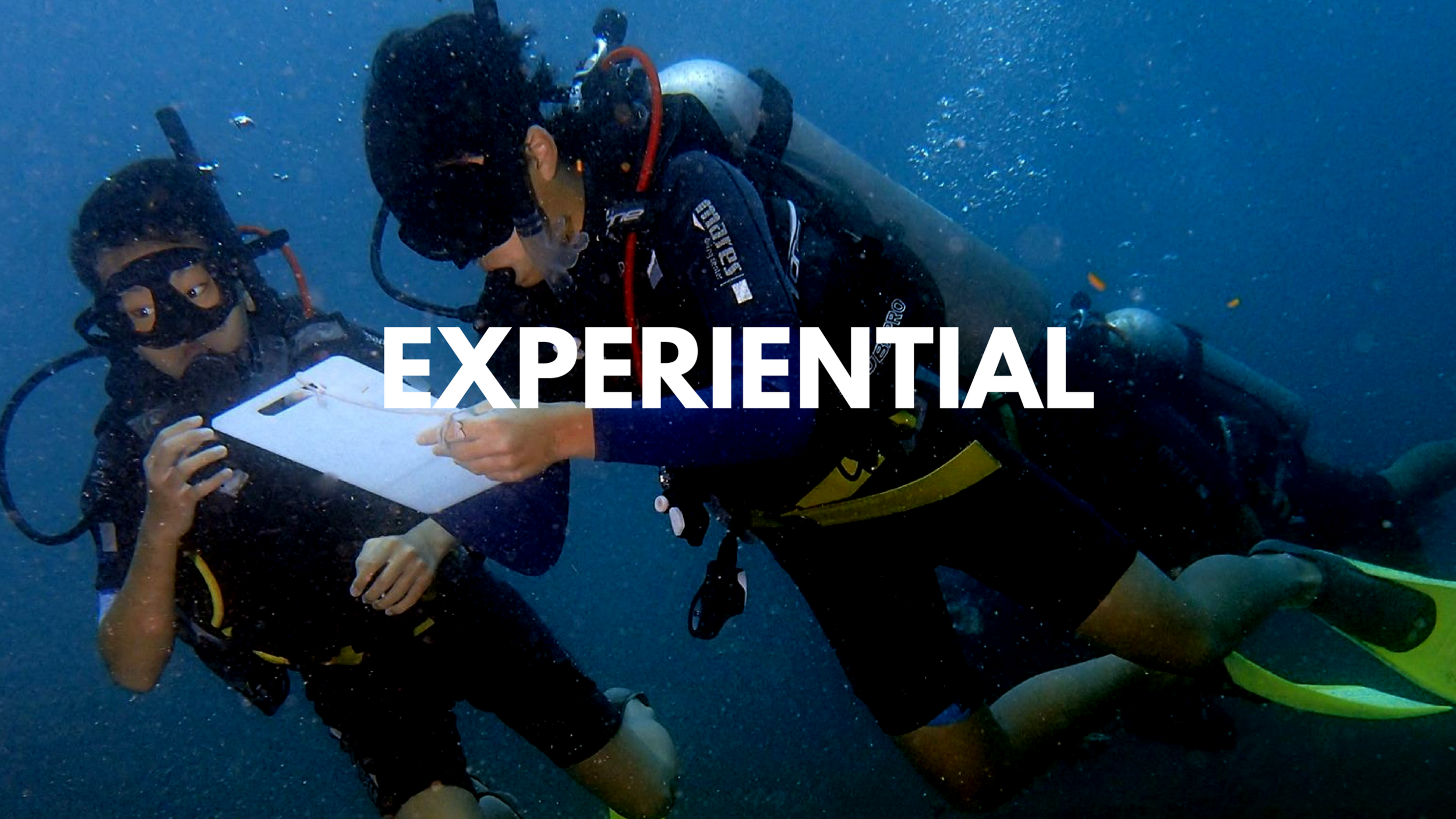 Experiential, Adventure, Teambuilding, Culture and Service