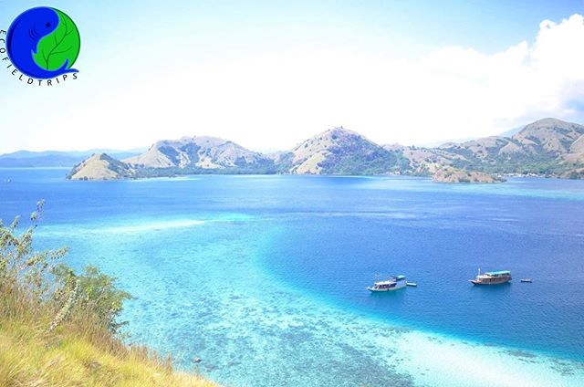 An island known for generations to harbor some of the world&rsquo;s most biodiverse ecosystems, Komodo has seen conservation measures enacted to protect its&rsquo; unique fauna and flora since 1915. 
Now a UNESCO World Heritage Site boasting the lege