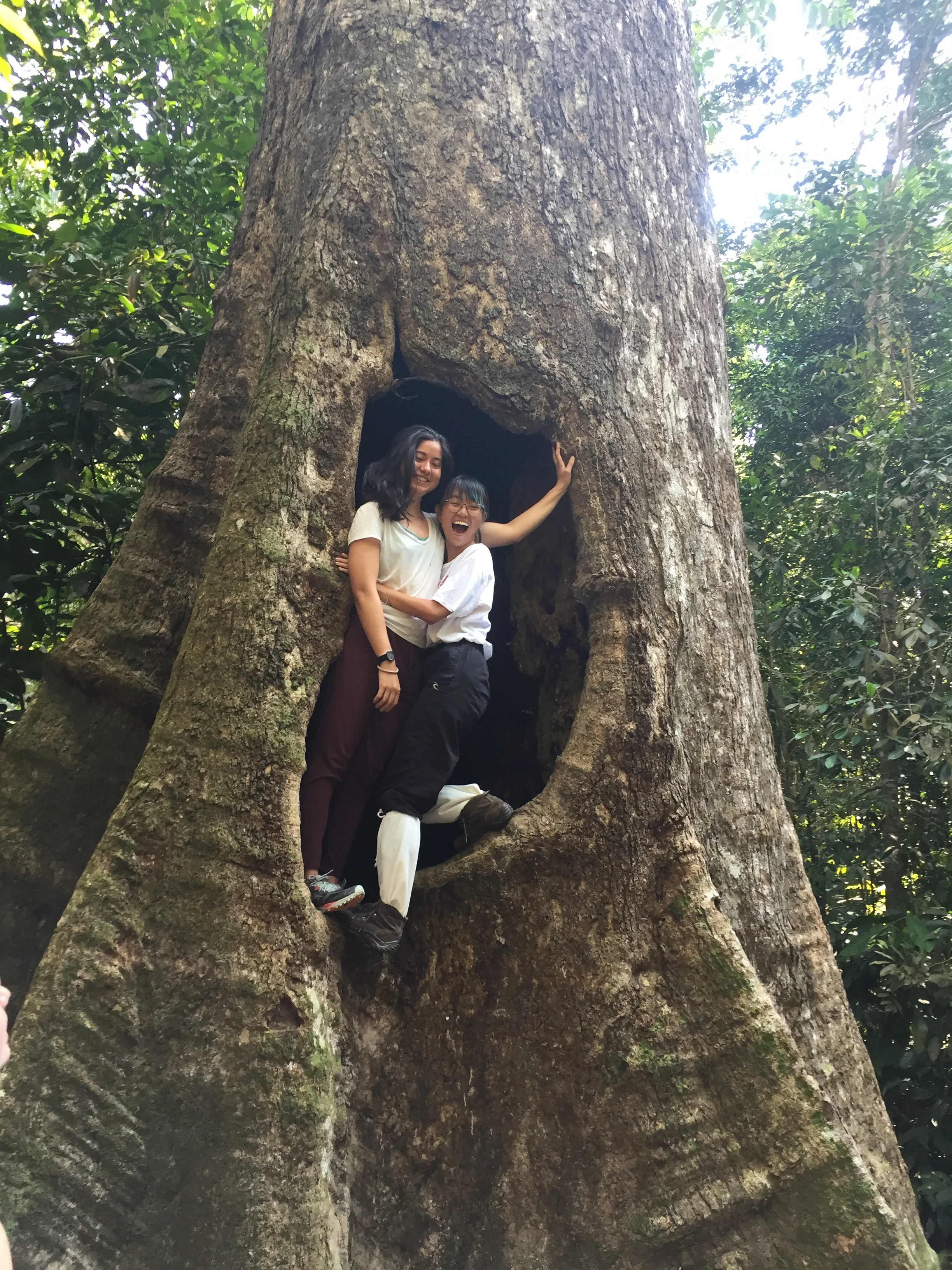 Surveying the Rainforest in Sungai Menyala