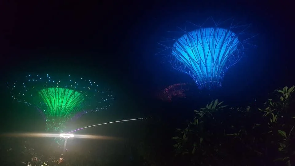 Super trees at Garden’s by the Bay.