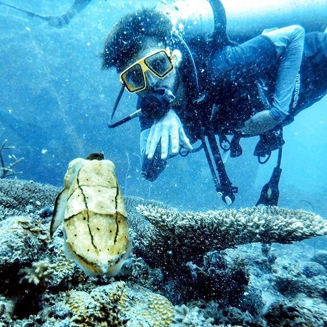 Who are Ecofieldtrips? We take the hassle out of school trips and put the fun into education. From your school gates to the coral reef, our qualified field biologists and geographers make extraordinary trips happen. 🏝
.
.
.
#education #environmental