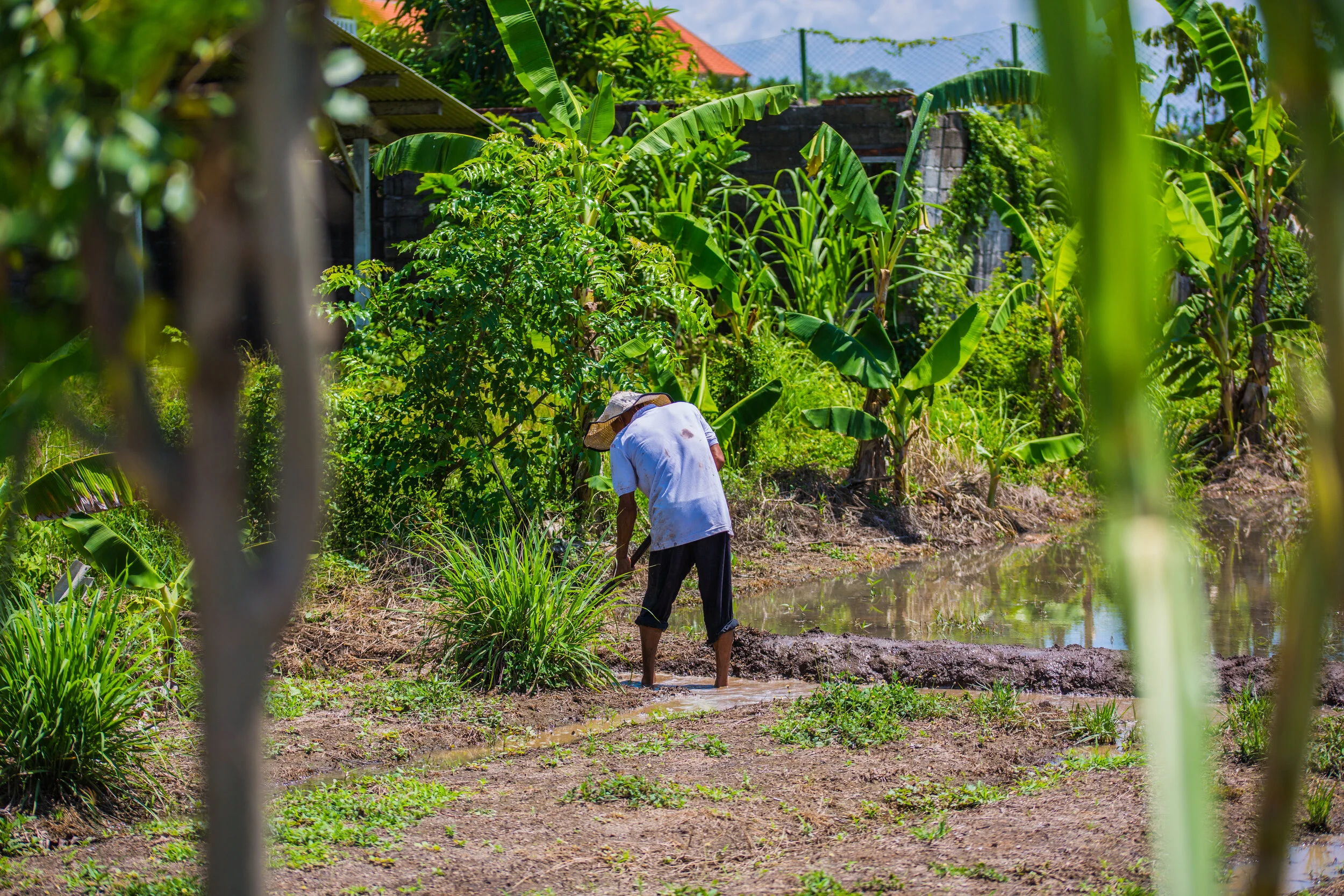 Bali-based Community and Cultural Experience