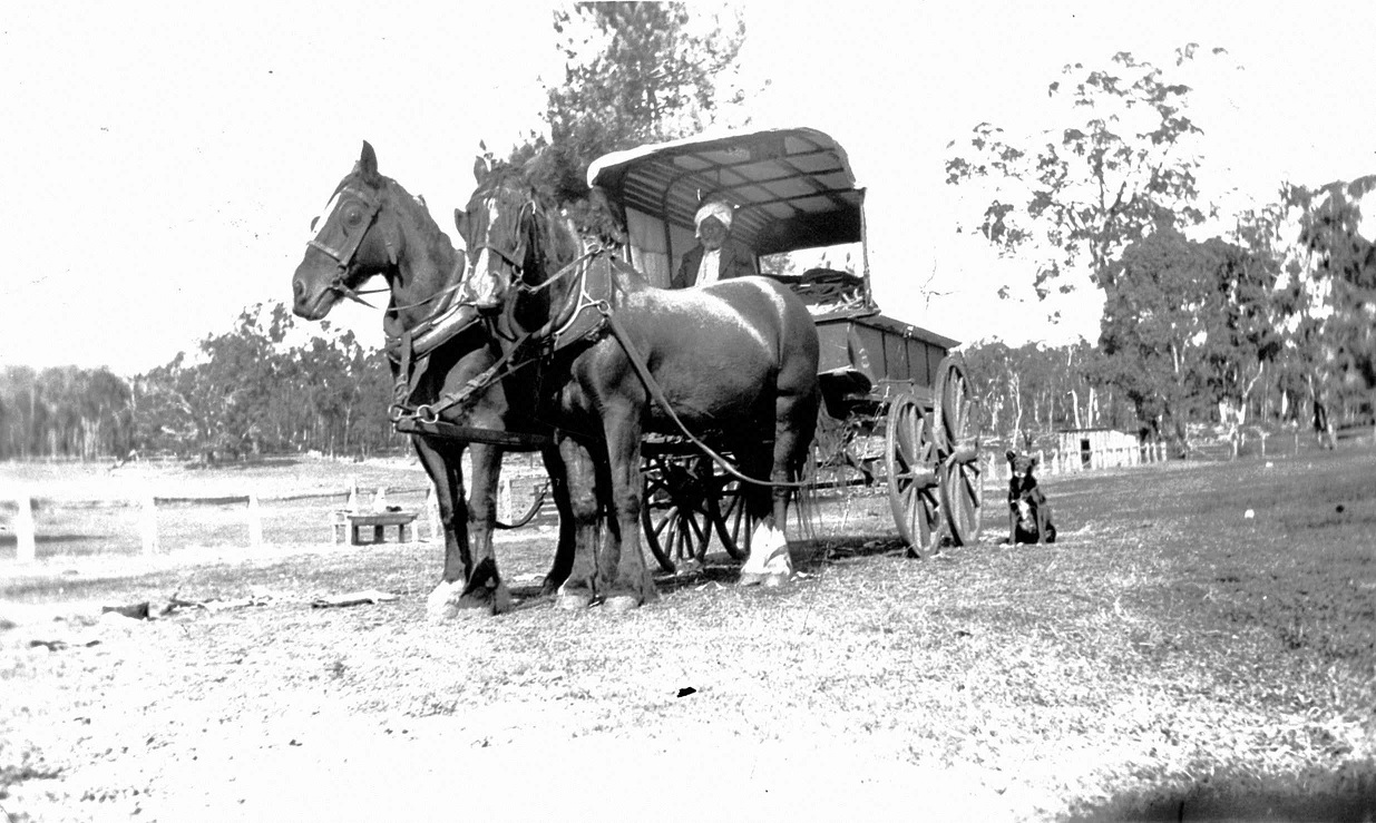 Nehal Singh with his horse drawn wagon and a dog.