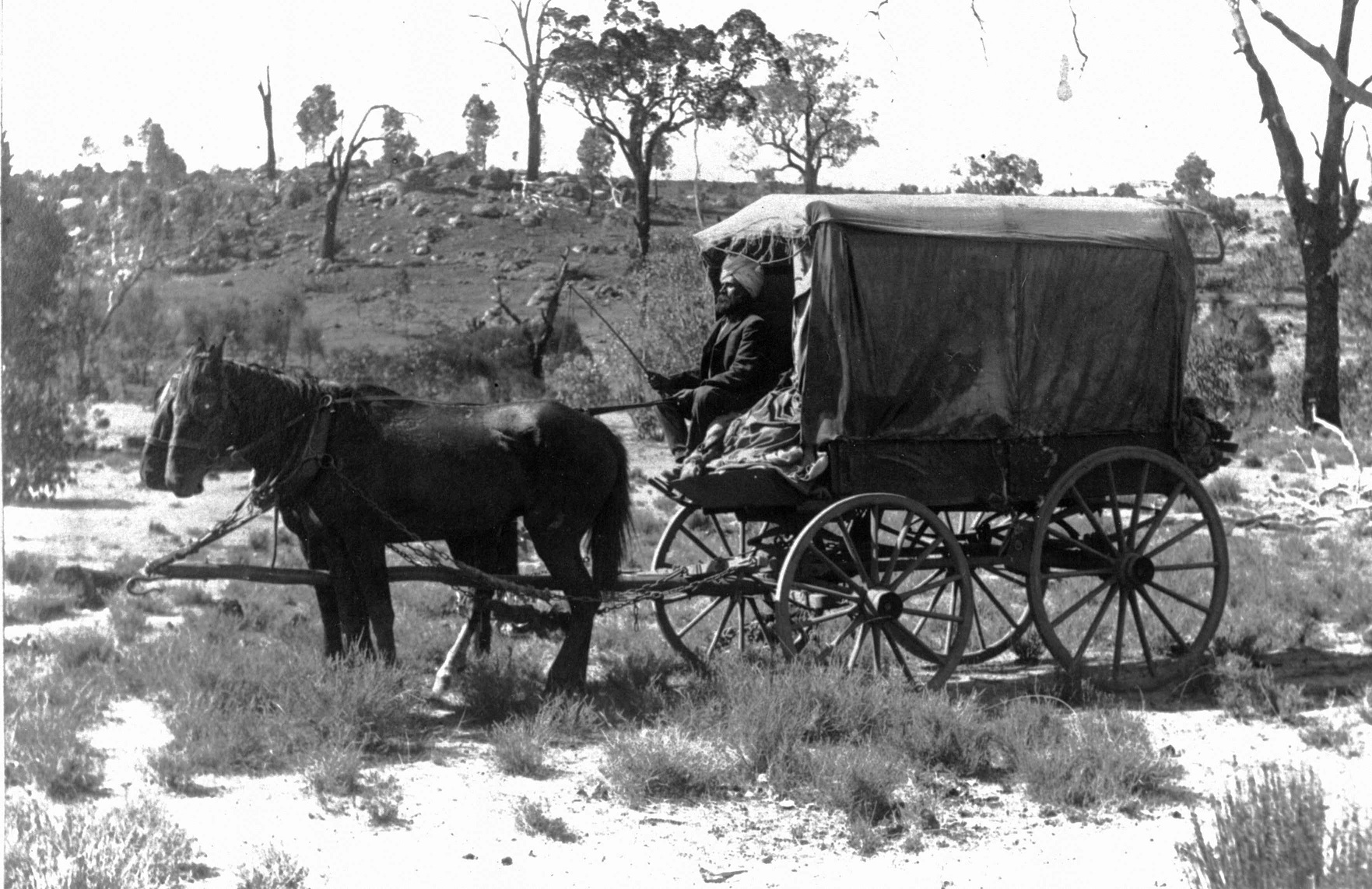 Nehal Singh in his horse drawn wagon.