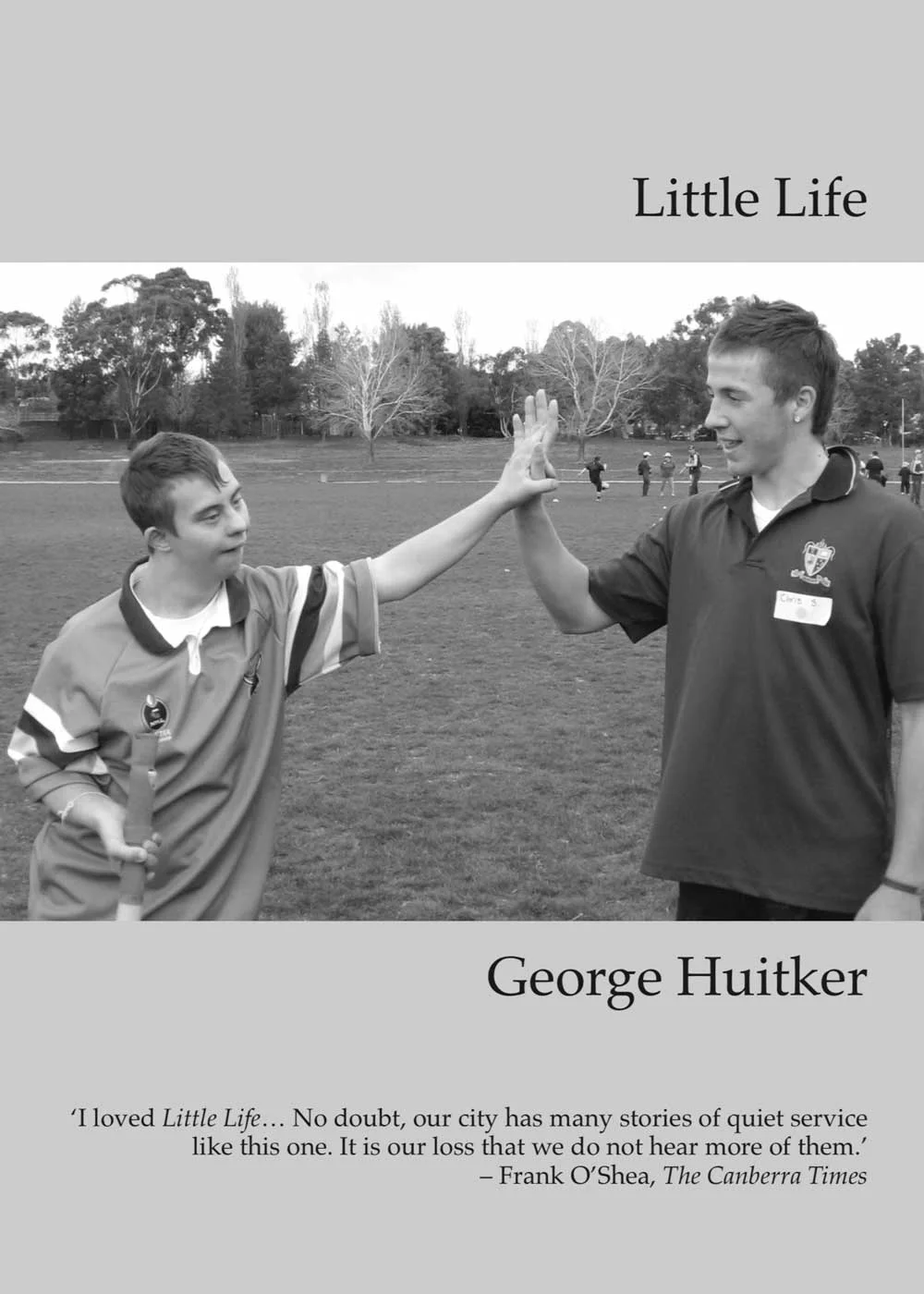 Little Life book cover.