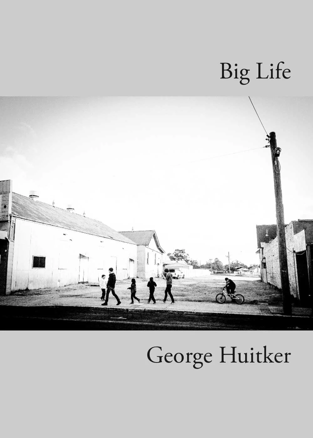 Big Life book cover.