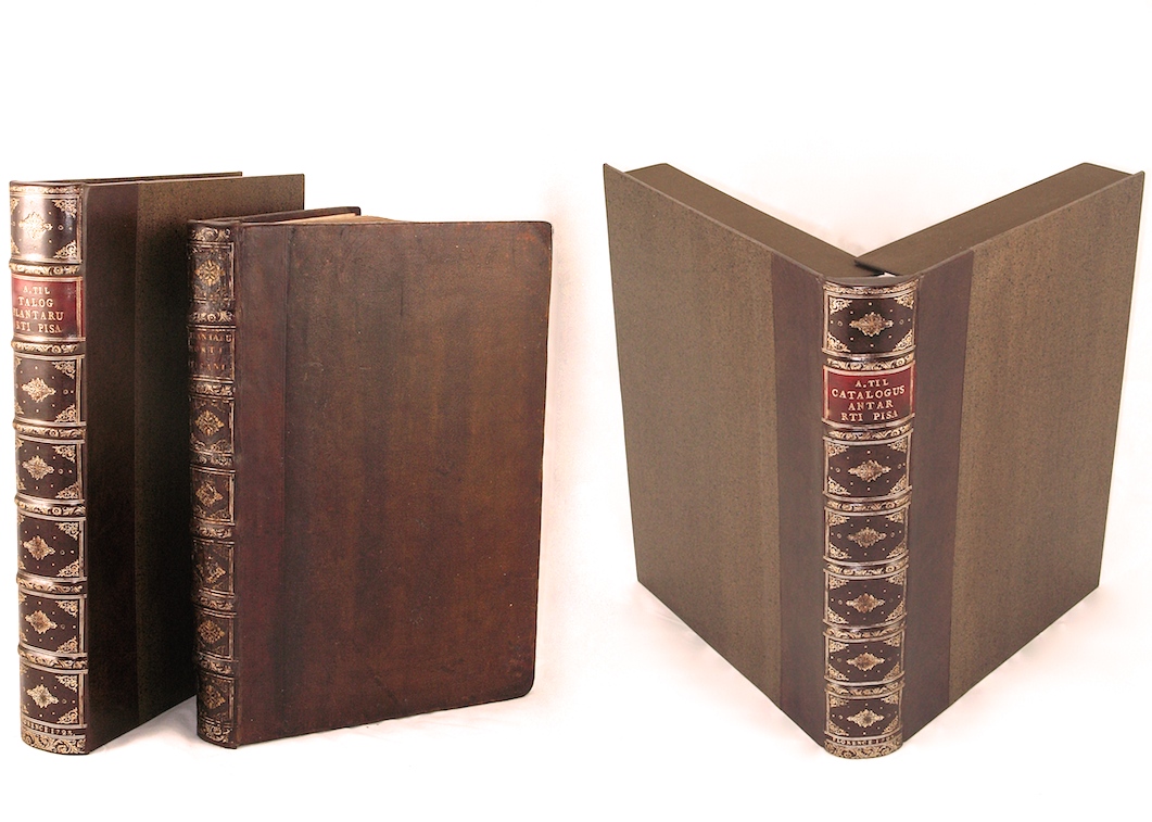 Copy of Book Box: Clamshell