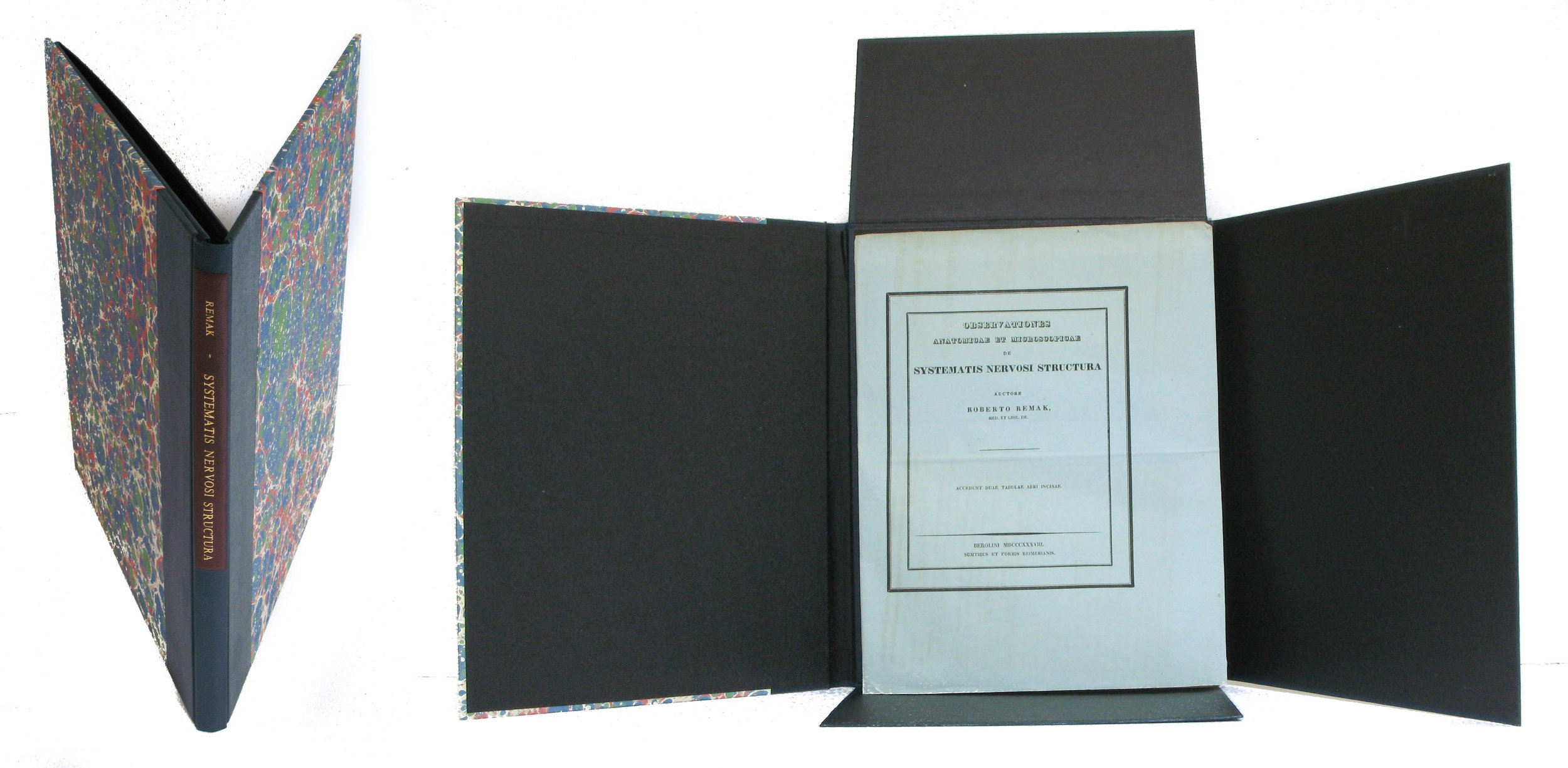 4 flap folio box.5mb.jpg