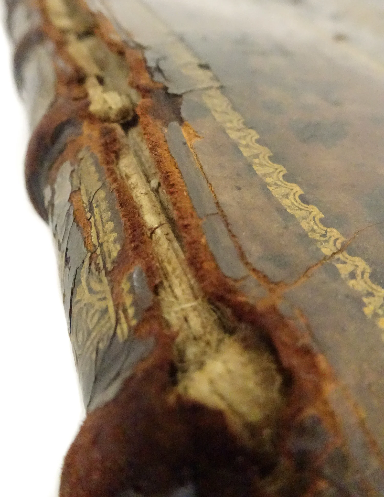 Book Conservation Redbone Bindery