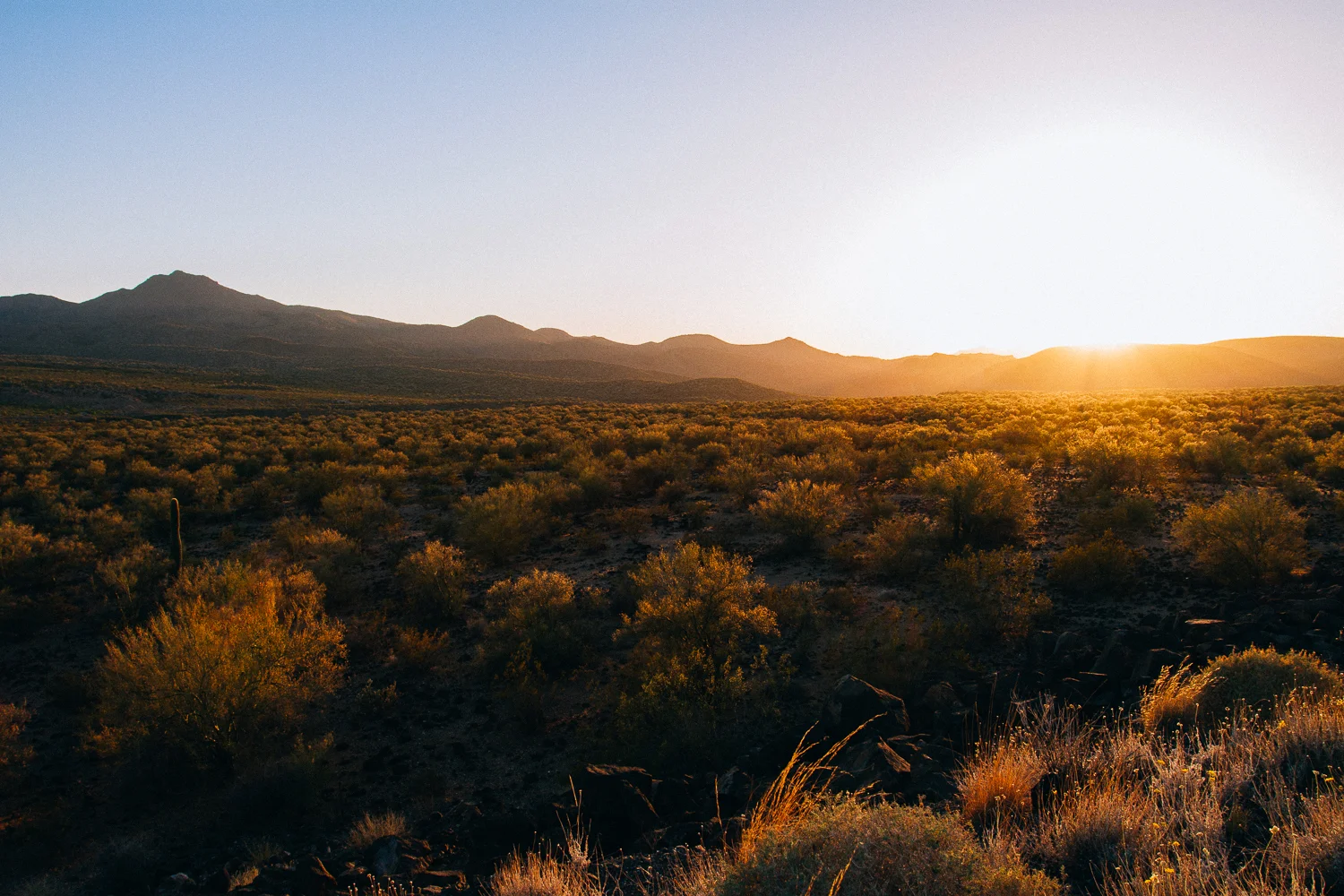Arizona Sunset