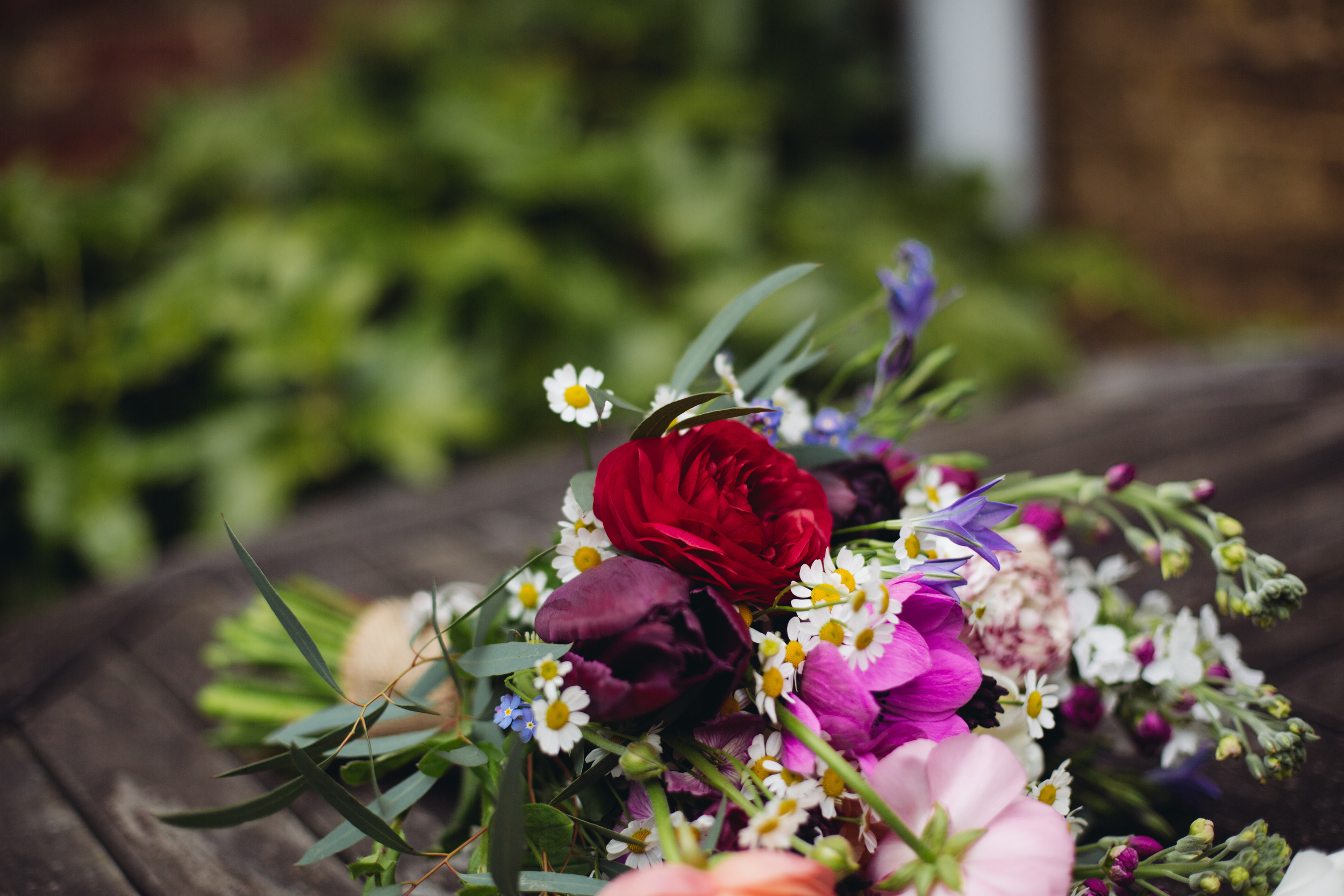 1454__J4B1603__colour.jpg