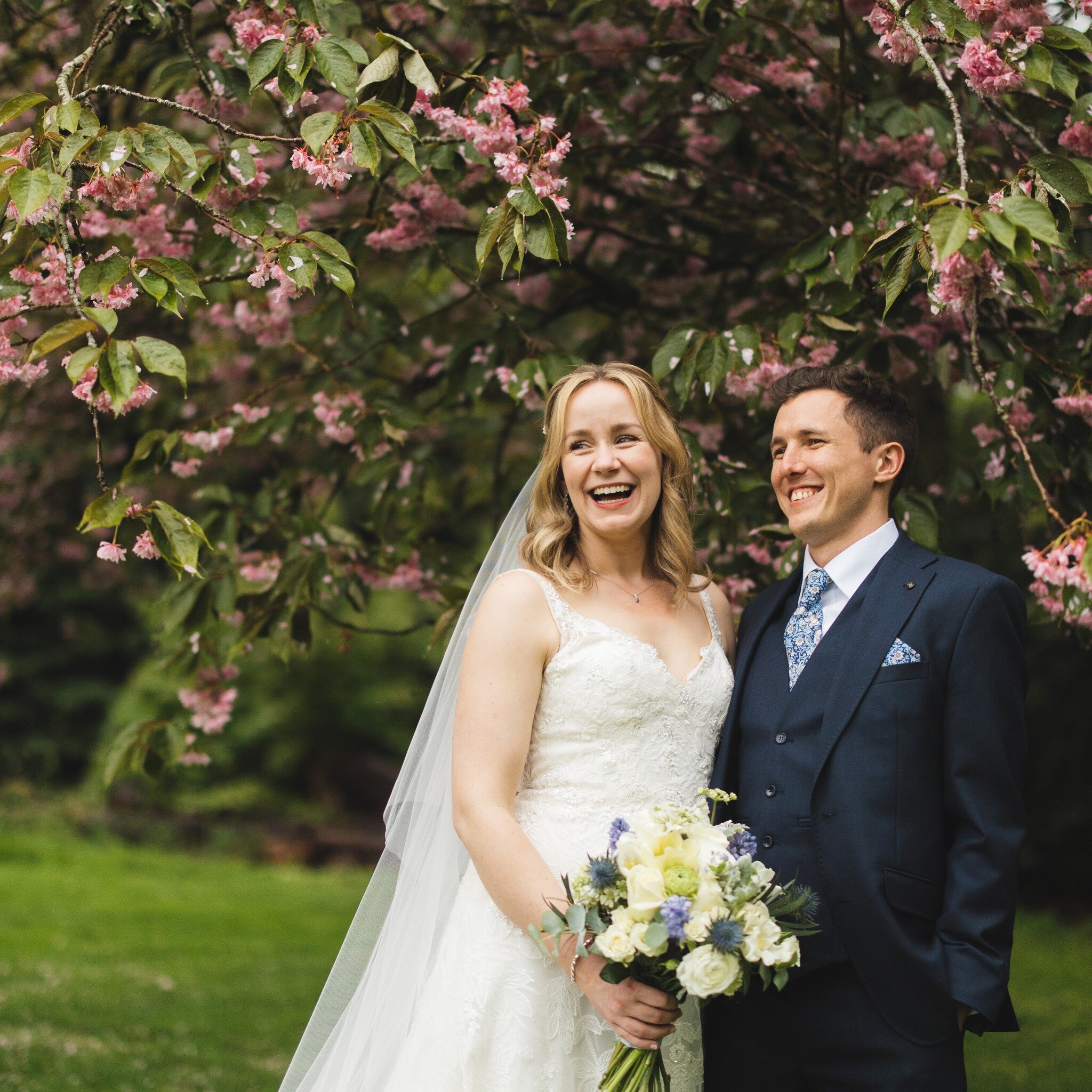 A little break in the rain meant dashing out with Katherine &amp; Thomas to get some pictures under this gorgeous blossom 🌸 

Planner: @jessicaghansahweddings 
Venue: @woodlandmanorweddings 
Dress: @bridalreloved 
Suit: @waterersmenswear 
Hair: @ale