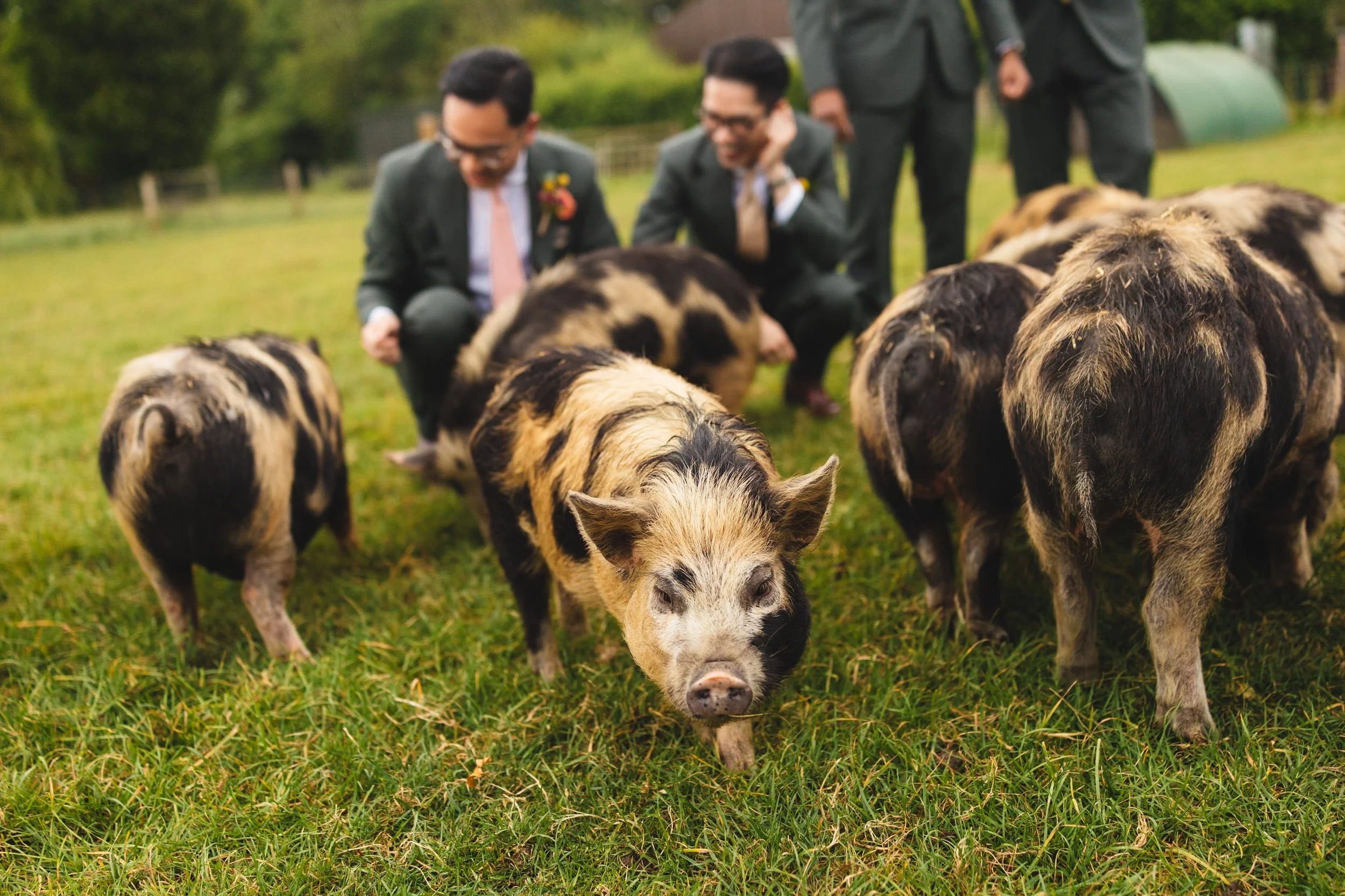 103__old-dairy-indoor-wedding-south-farm-hertfordshire.jpg
