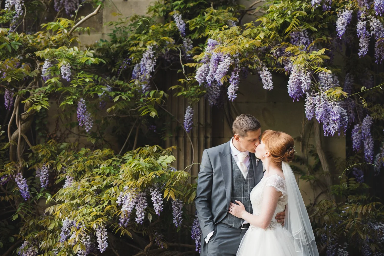 A bride and groom sharing a kiss outdoors under purple wisteria flowers.