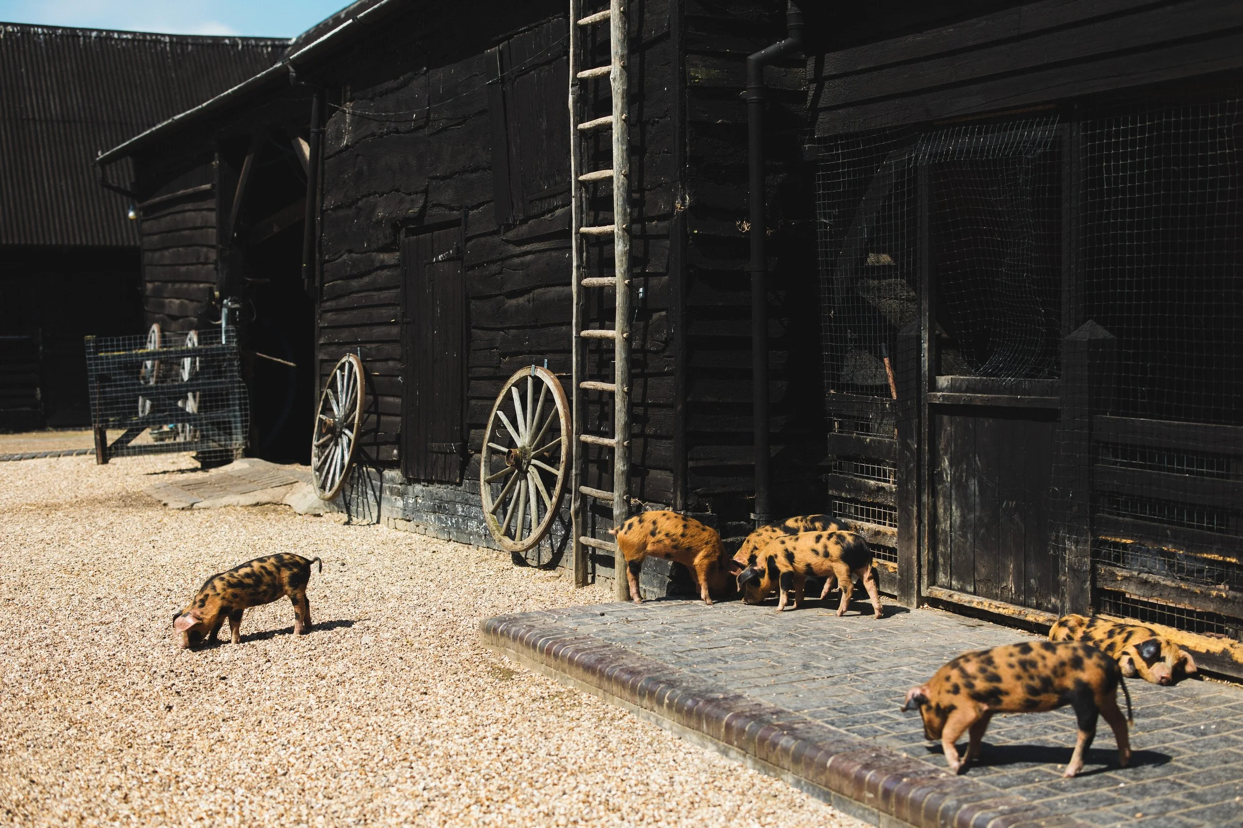 01__may-outdoor-wedding-south-farm-hertfordshire.jpg