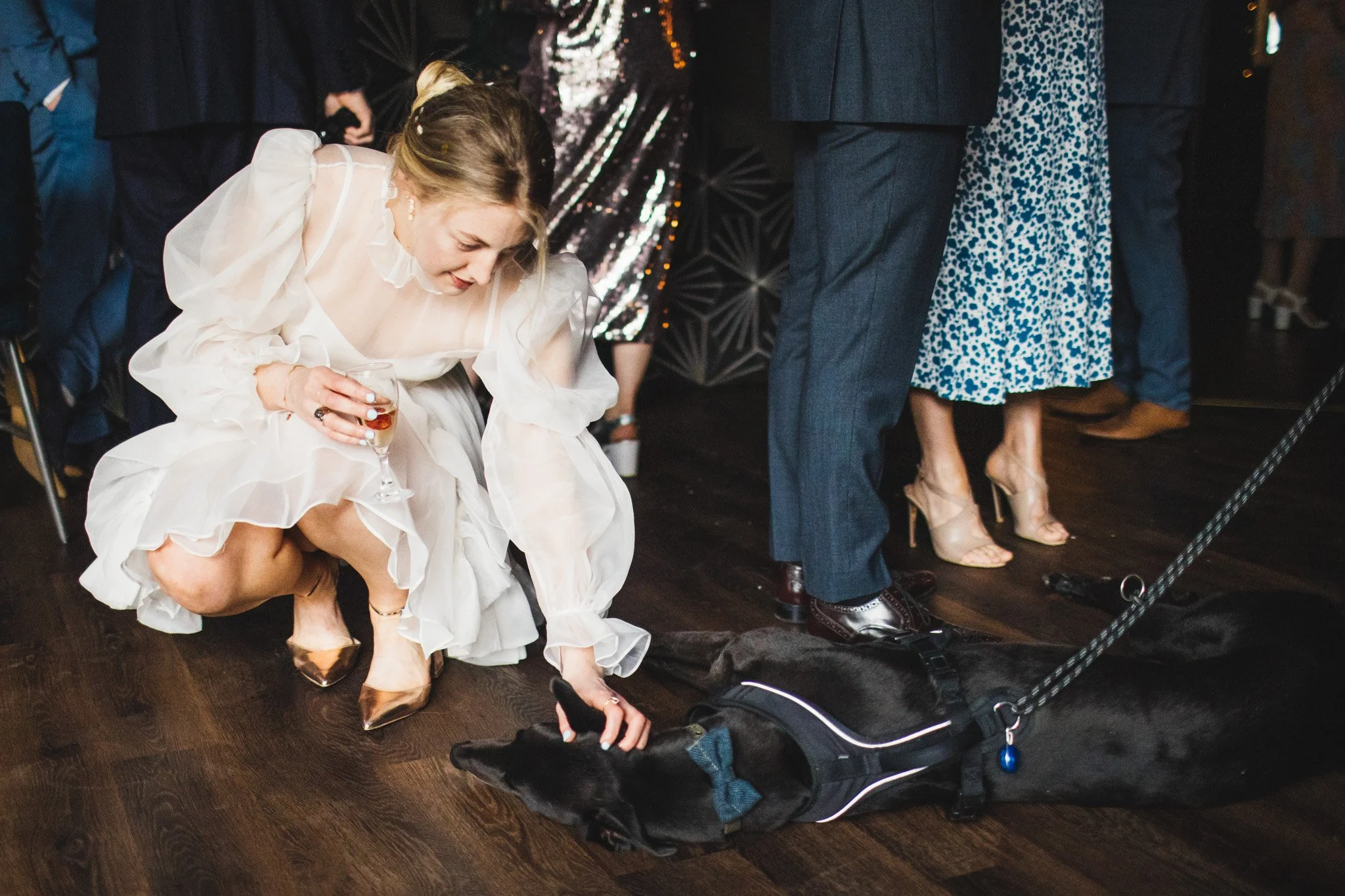 The bride kneels down to pet her dog on her wedding day during the drinks reception.