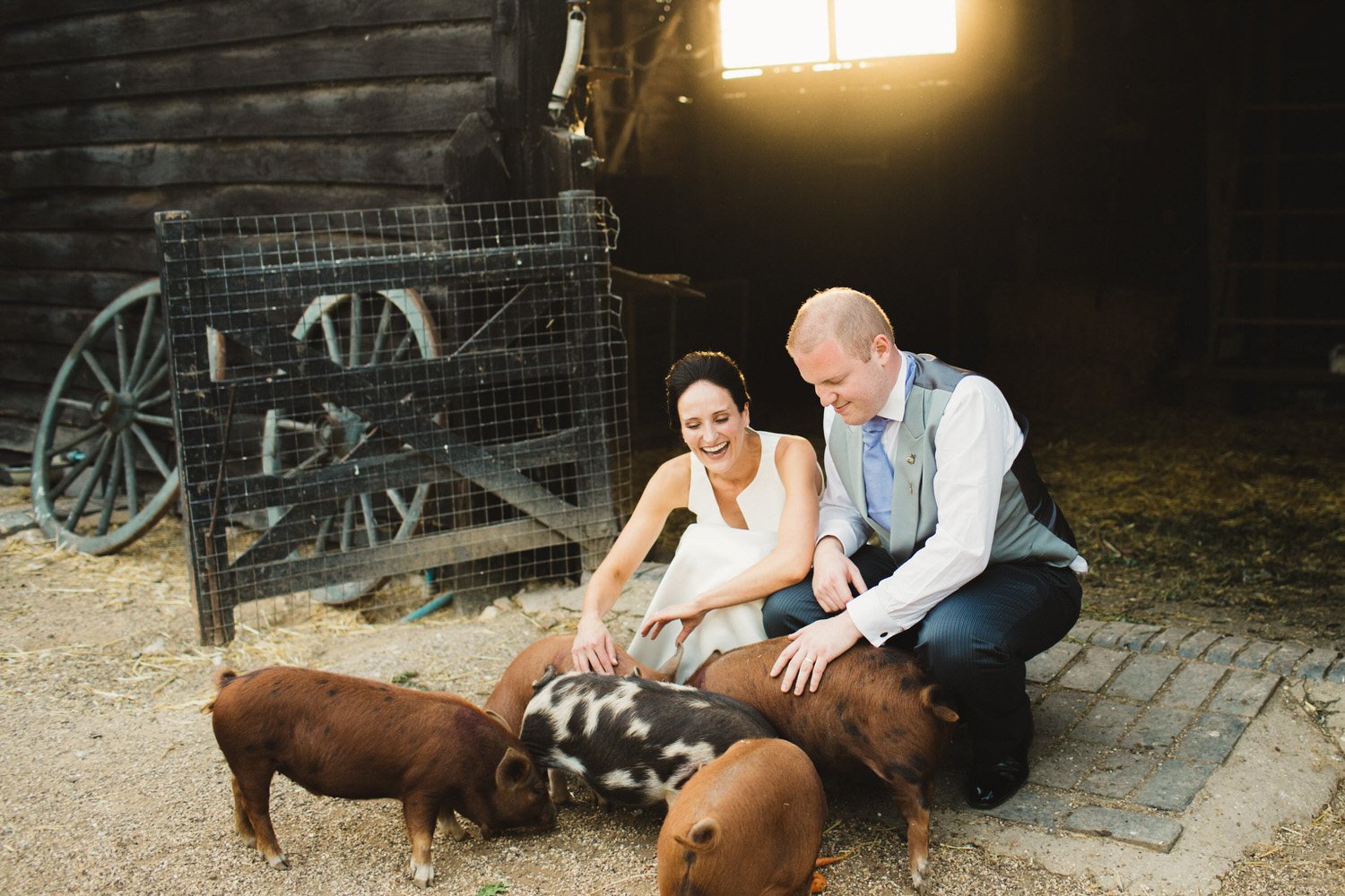 A couple crouch down to pet five piglets at South Farm. They laugh as they stroke them.
