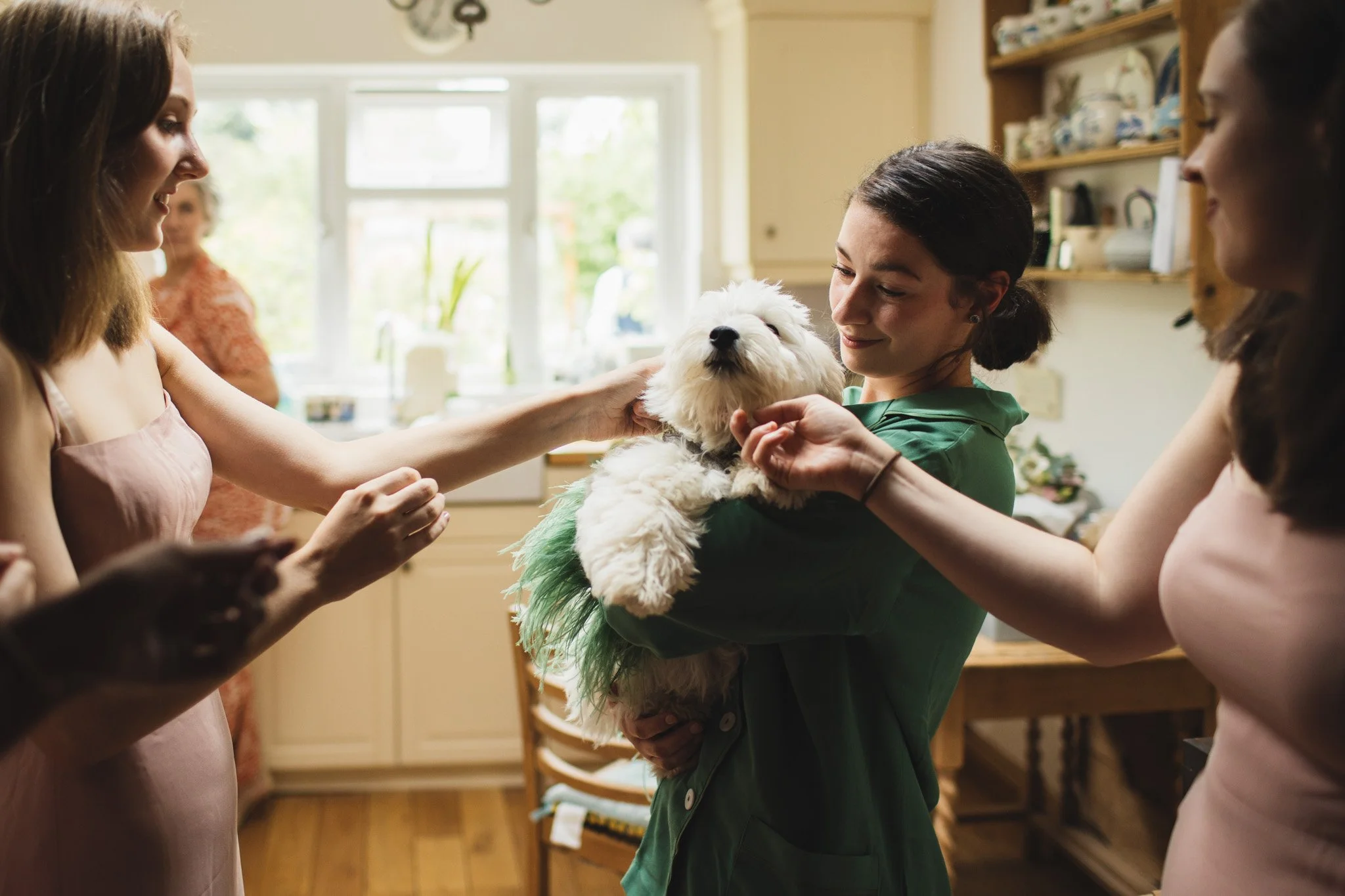 The bride in green pyjamas picks up and cuddles her dog. In the foreground the bridesmaids stretch their arms out to stroke the dog.