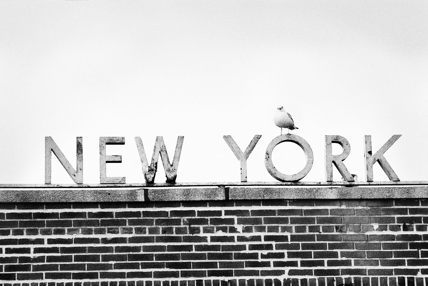 Manuel Armenis · New York 03