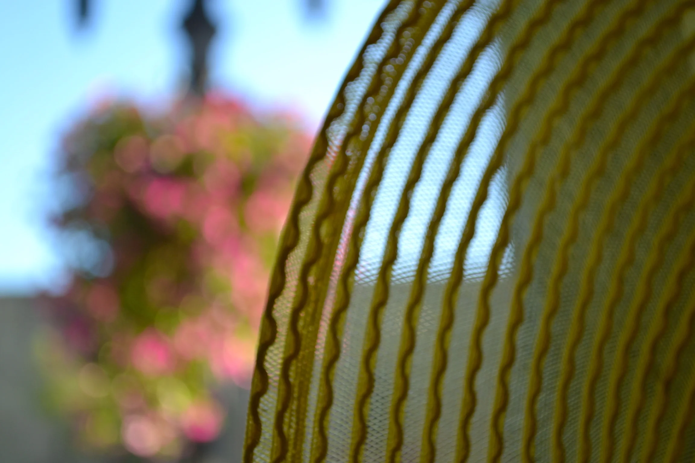 yellow hat