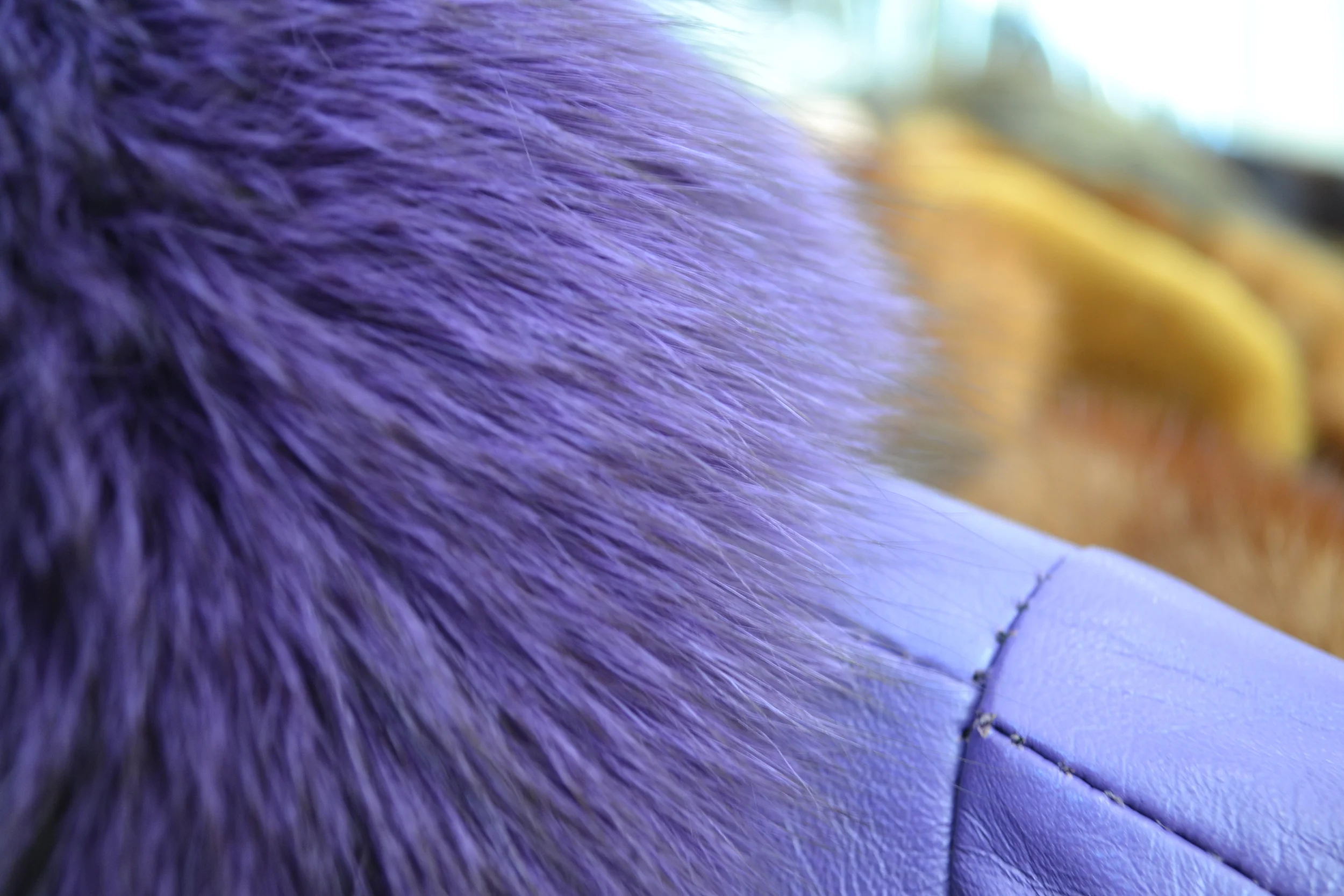 Purple fox fur