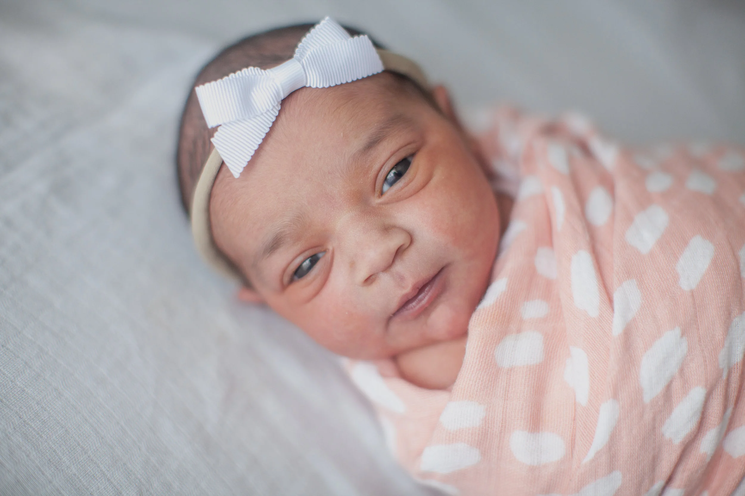 Just a few hours old in this photo!