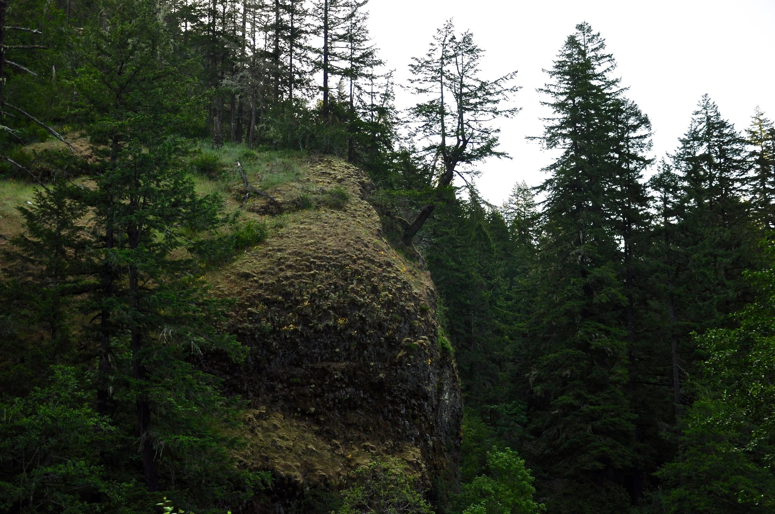 Molalla River