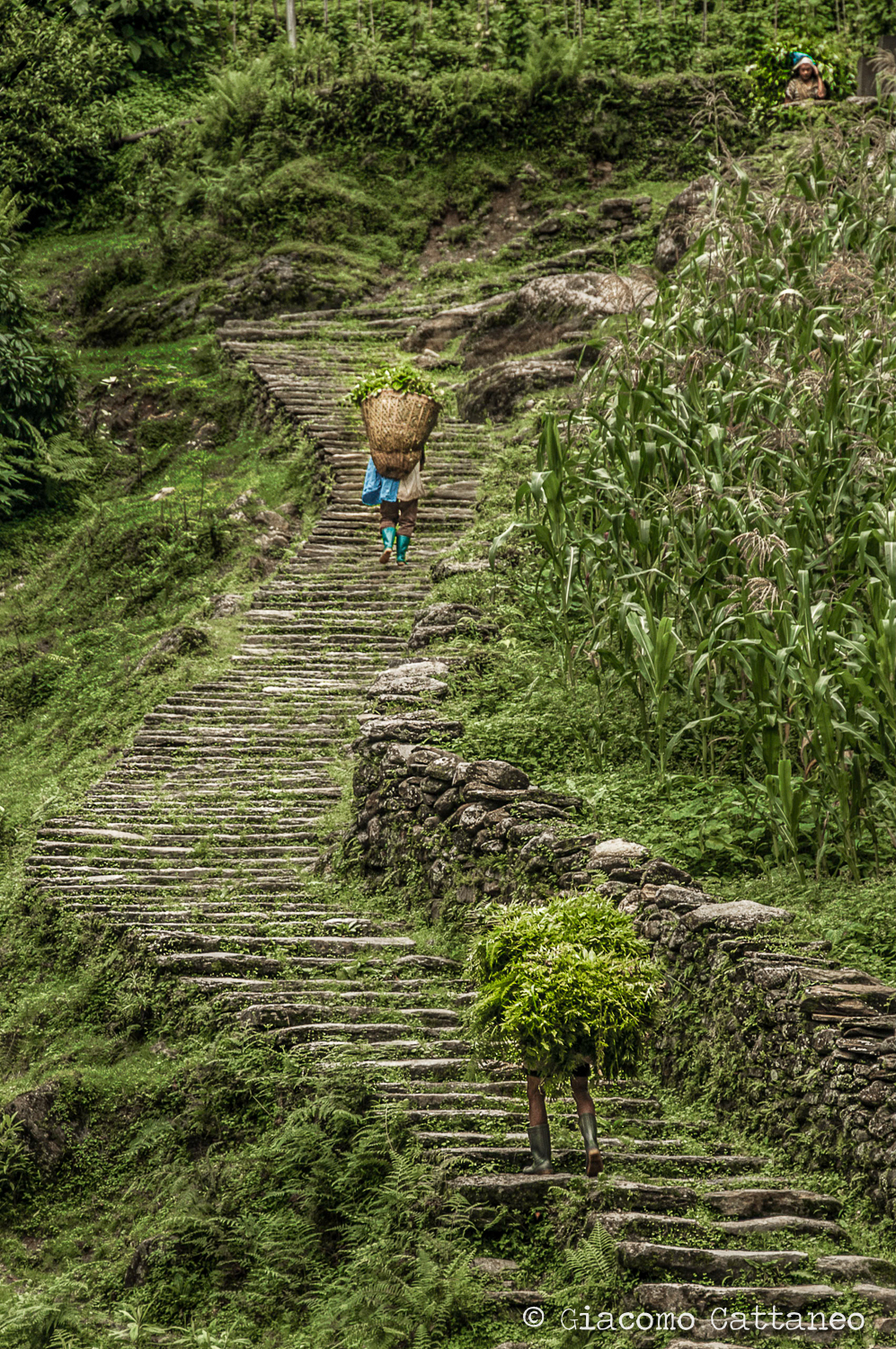 Up the stairs