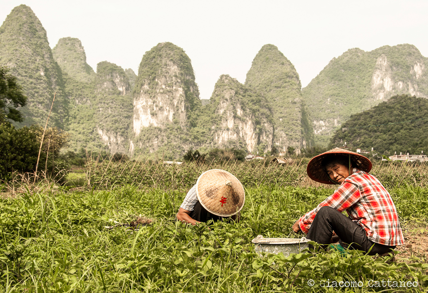 Working in the fields