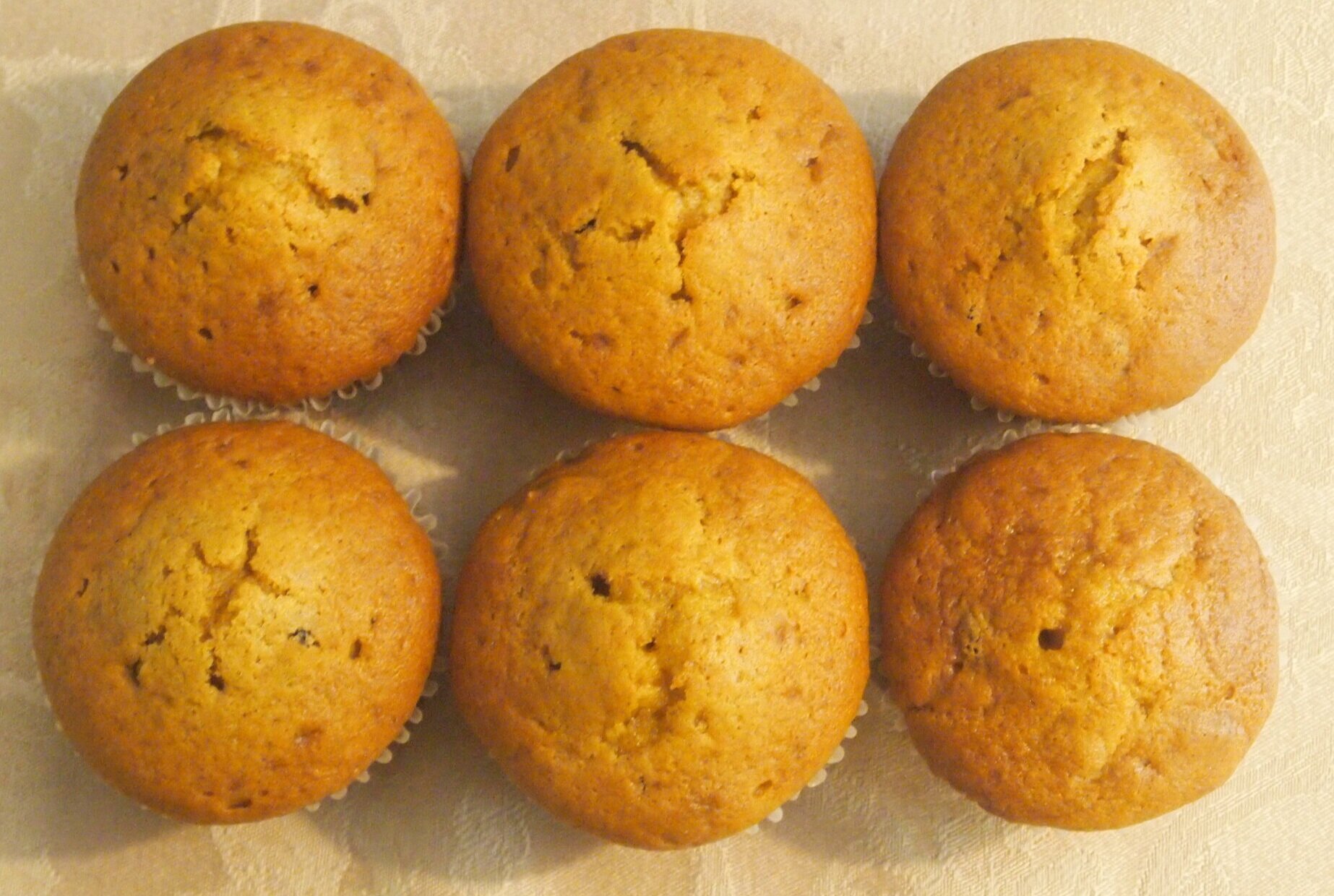 Jumbo pumpkin raisin